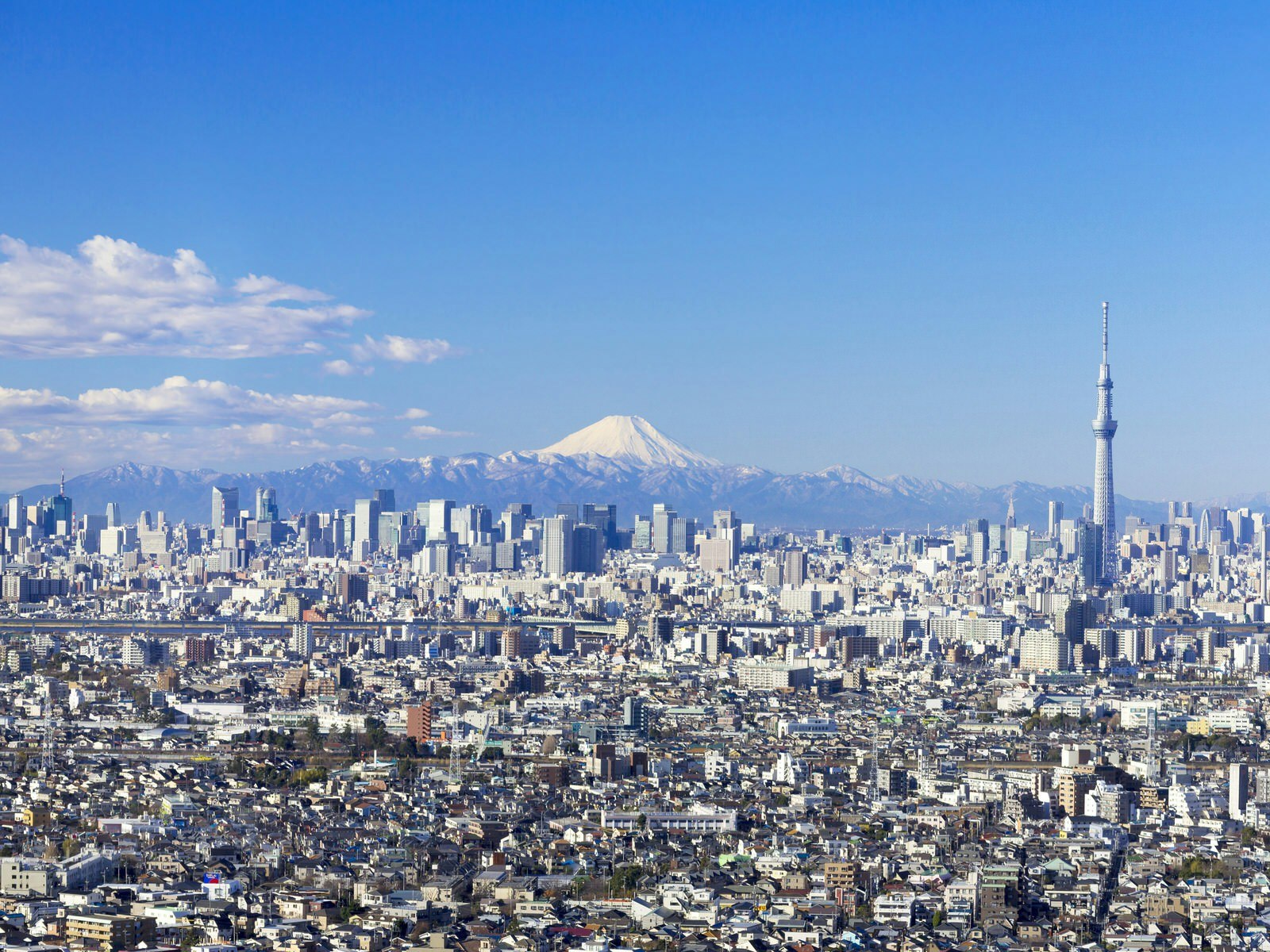 View looking over the city of Tokyo with snow-capped Mt Fuji in the background