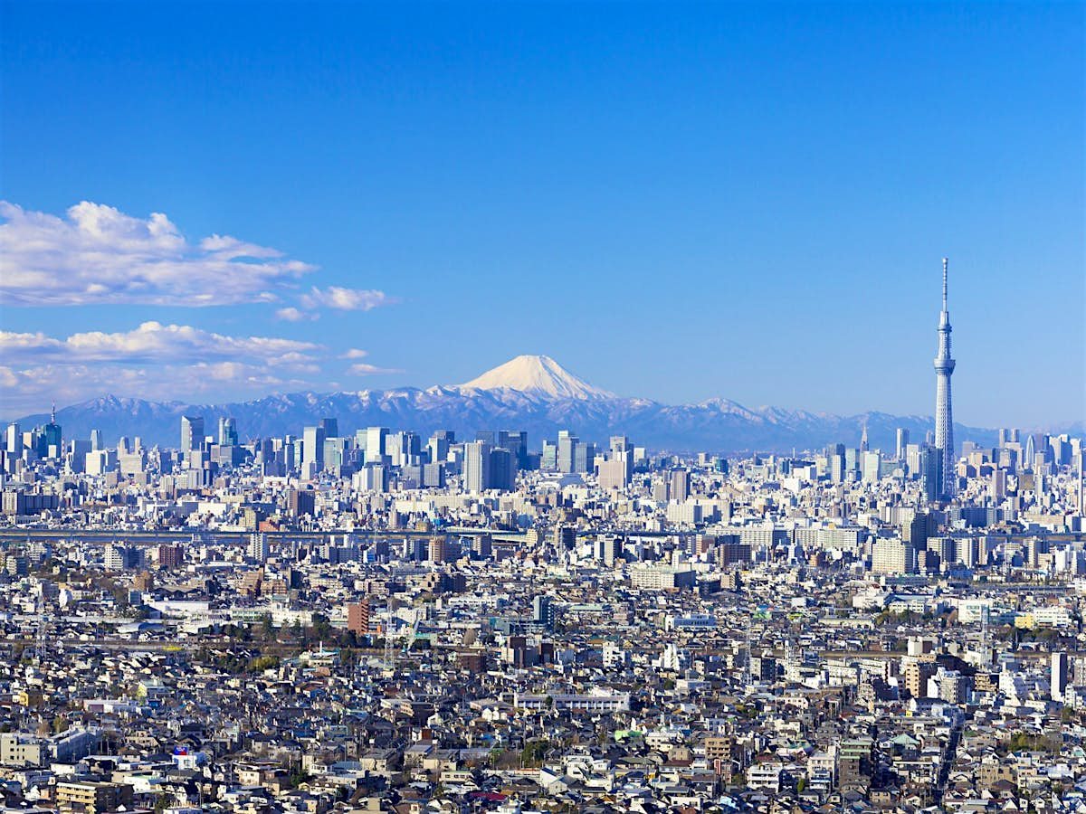 Tokyo in winter: what to see, do and eat - Lonely Planet