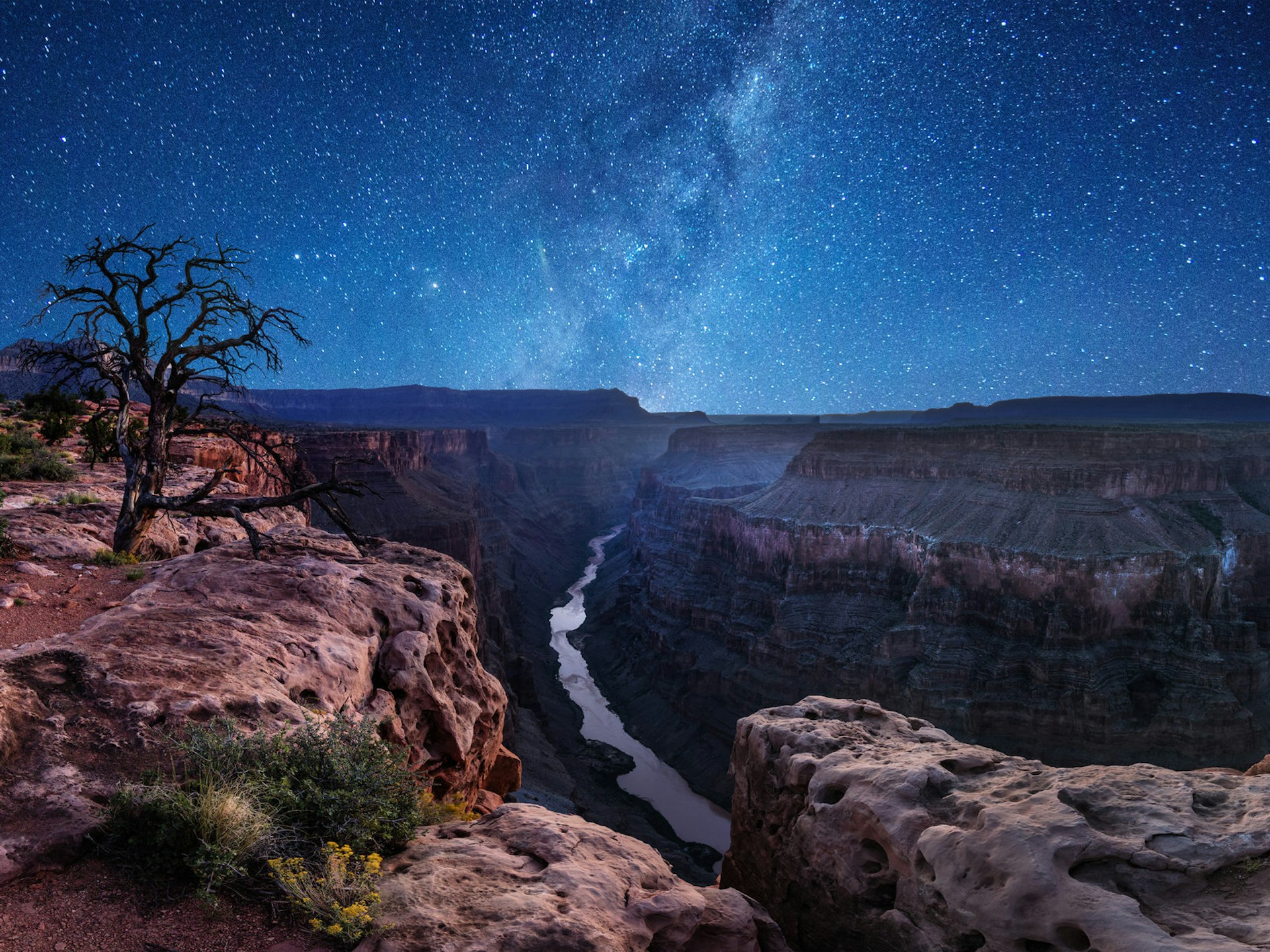 View of the Grand Canyon with stars overhead at night; Stargazing Southwest USA