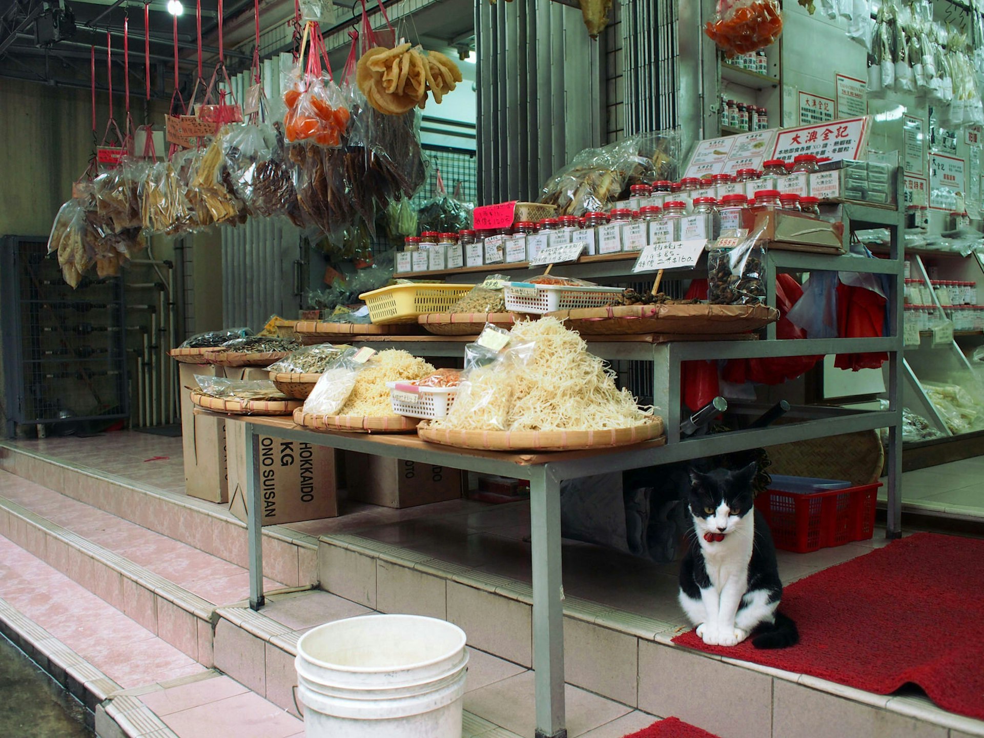 Dried fish hang and sit in piles at a shop storefront, a black and white cat sits on the steps