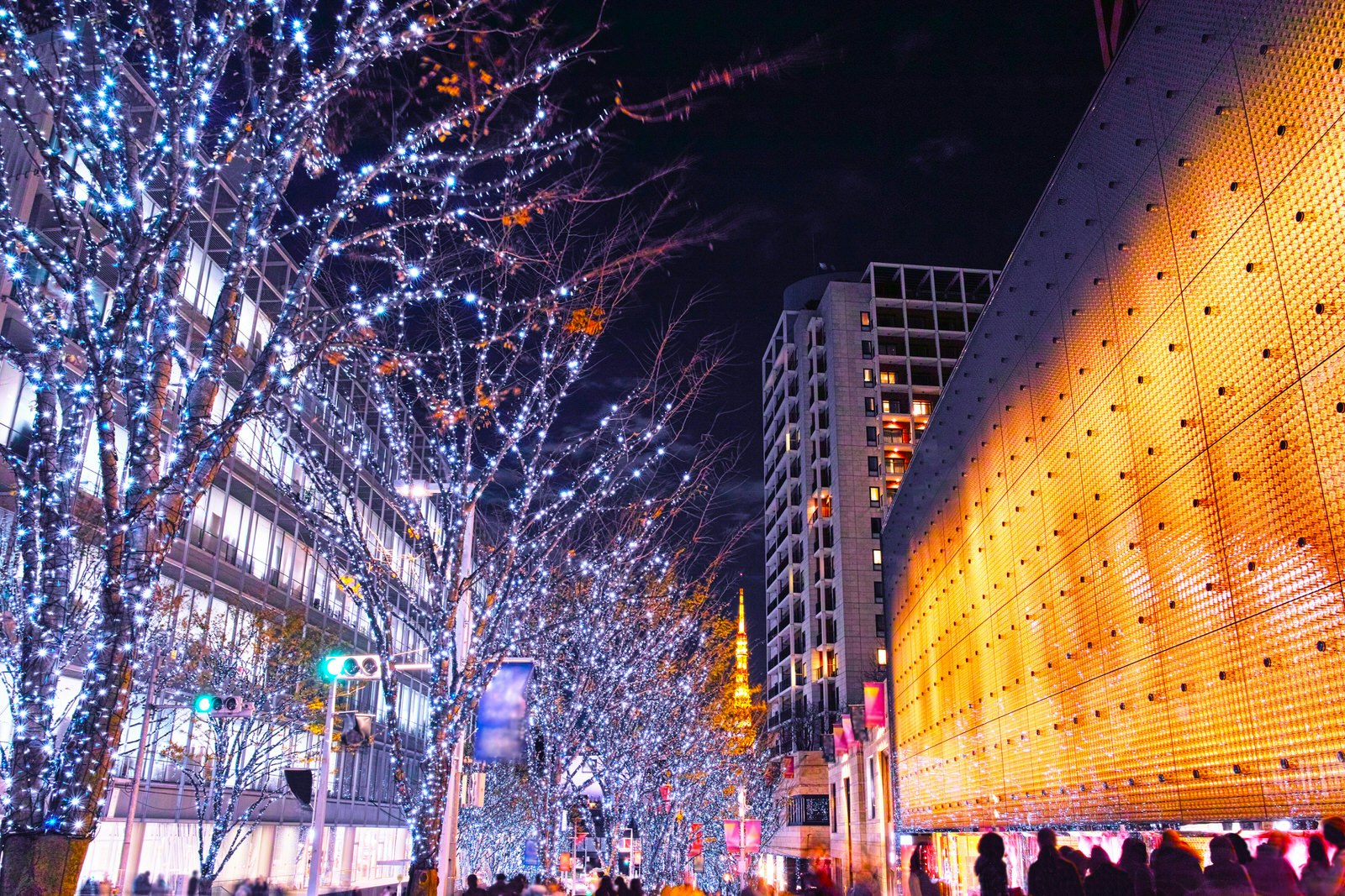 Blue and white lights cover a row of trees lighting up a street in Roppongi