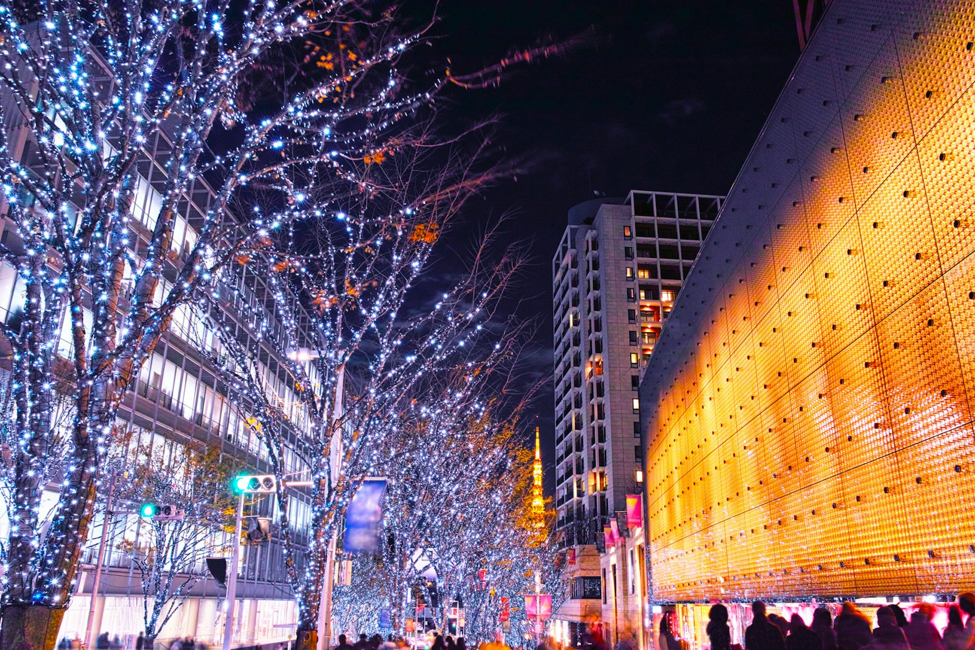 Blue and white lights cover a row of trees lighting up a street in Roppongi