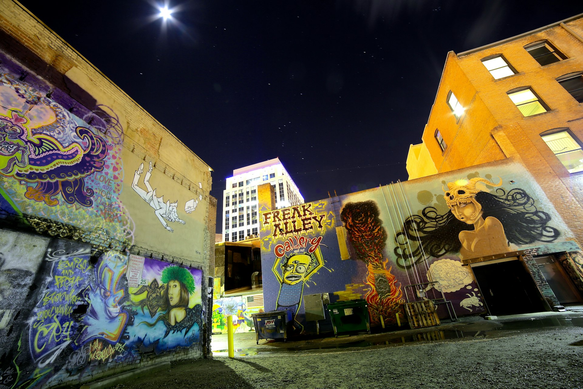 Various graffiti murals adorn the sides of buildings in Freak Alley