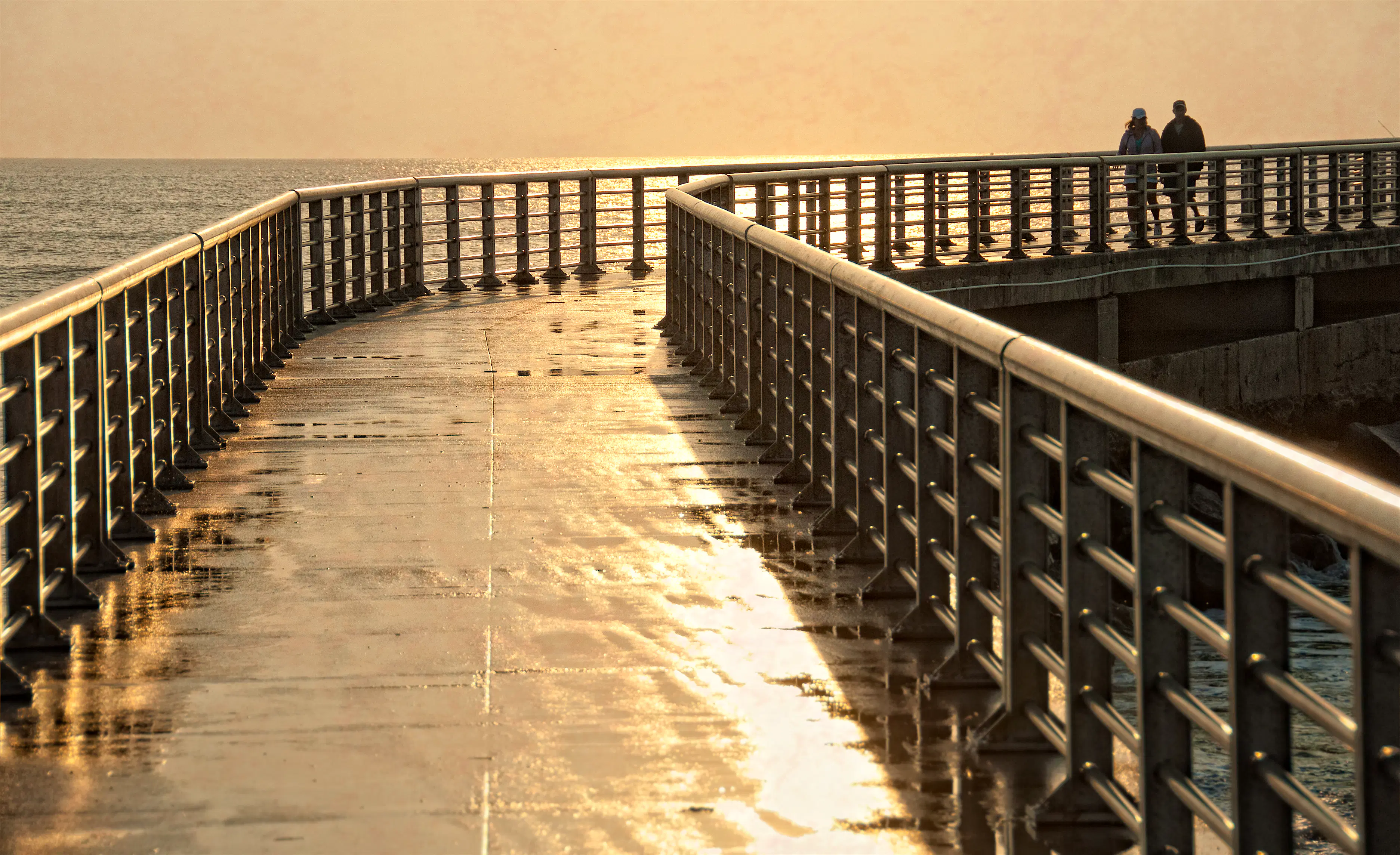 Features - After the rain Features - After the rain