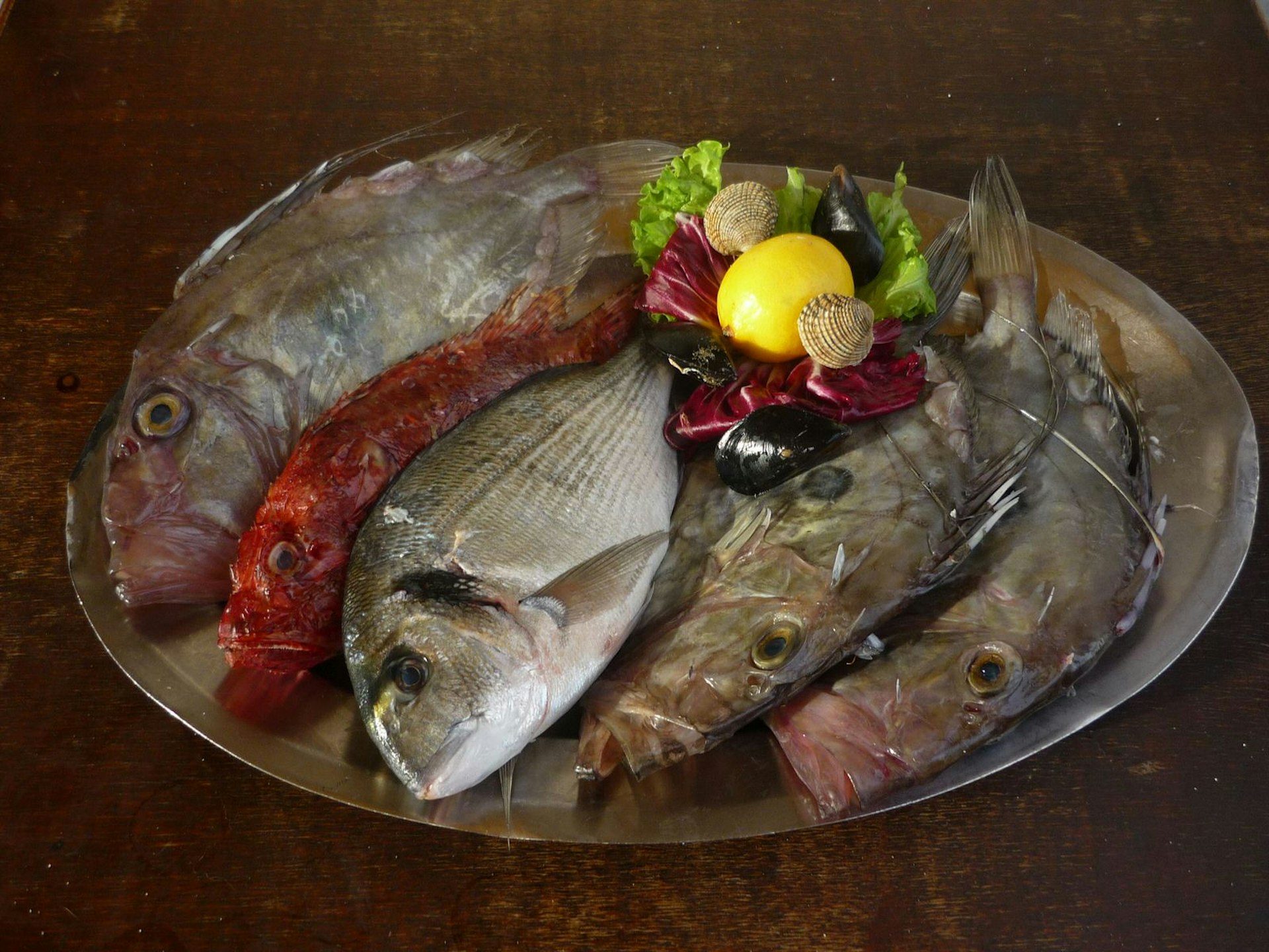 A selection of fish at Konoba Varoš © Jane Foster / Lonely Planet