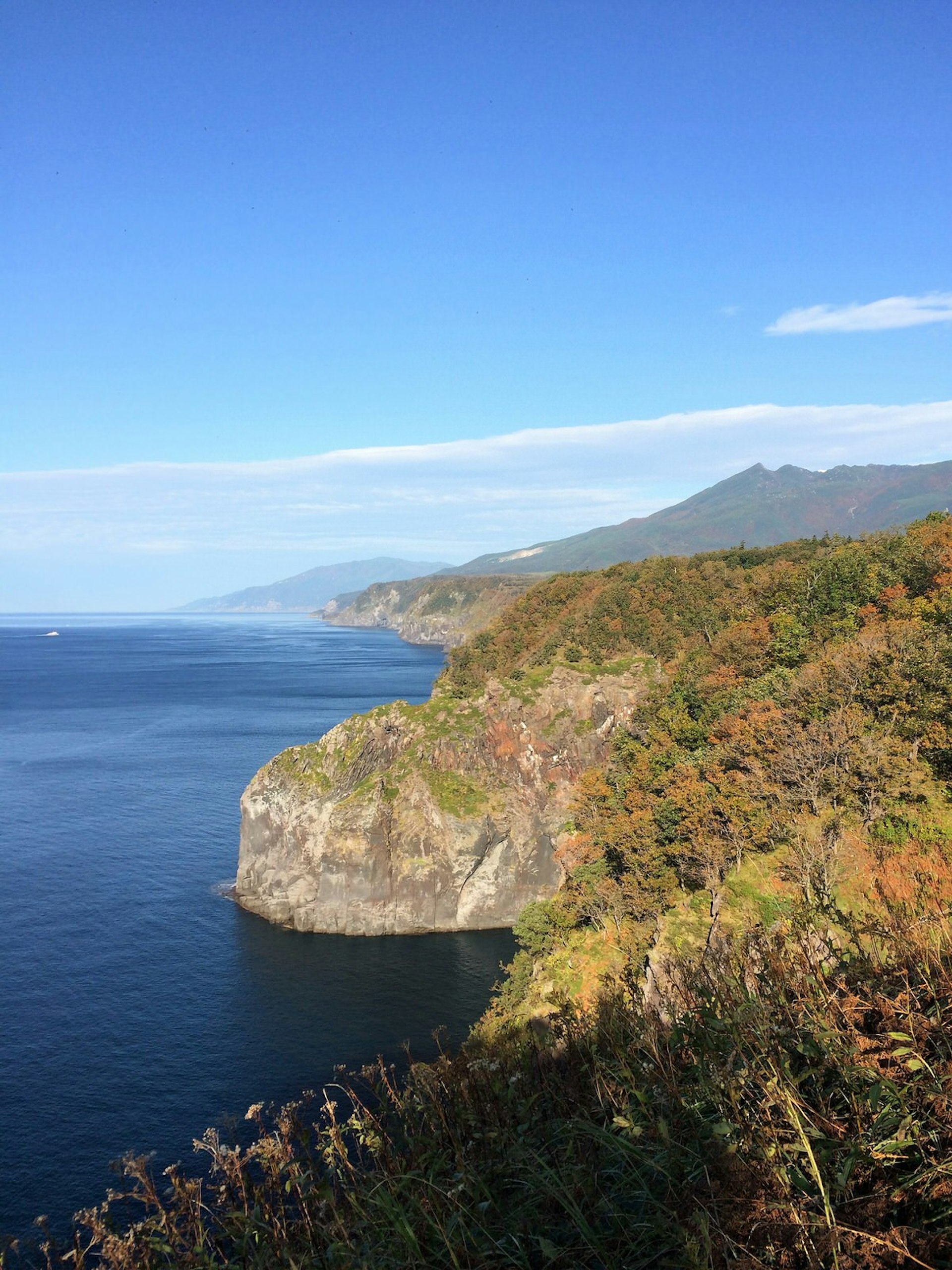 View of the rocky, tree-covered coastline of Shiretoko Peninsula