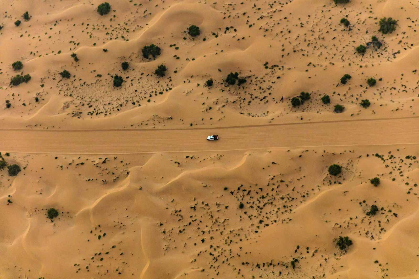 Exploring the Emirates: best day trips from Dubai