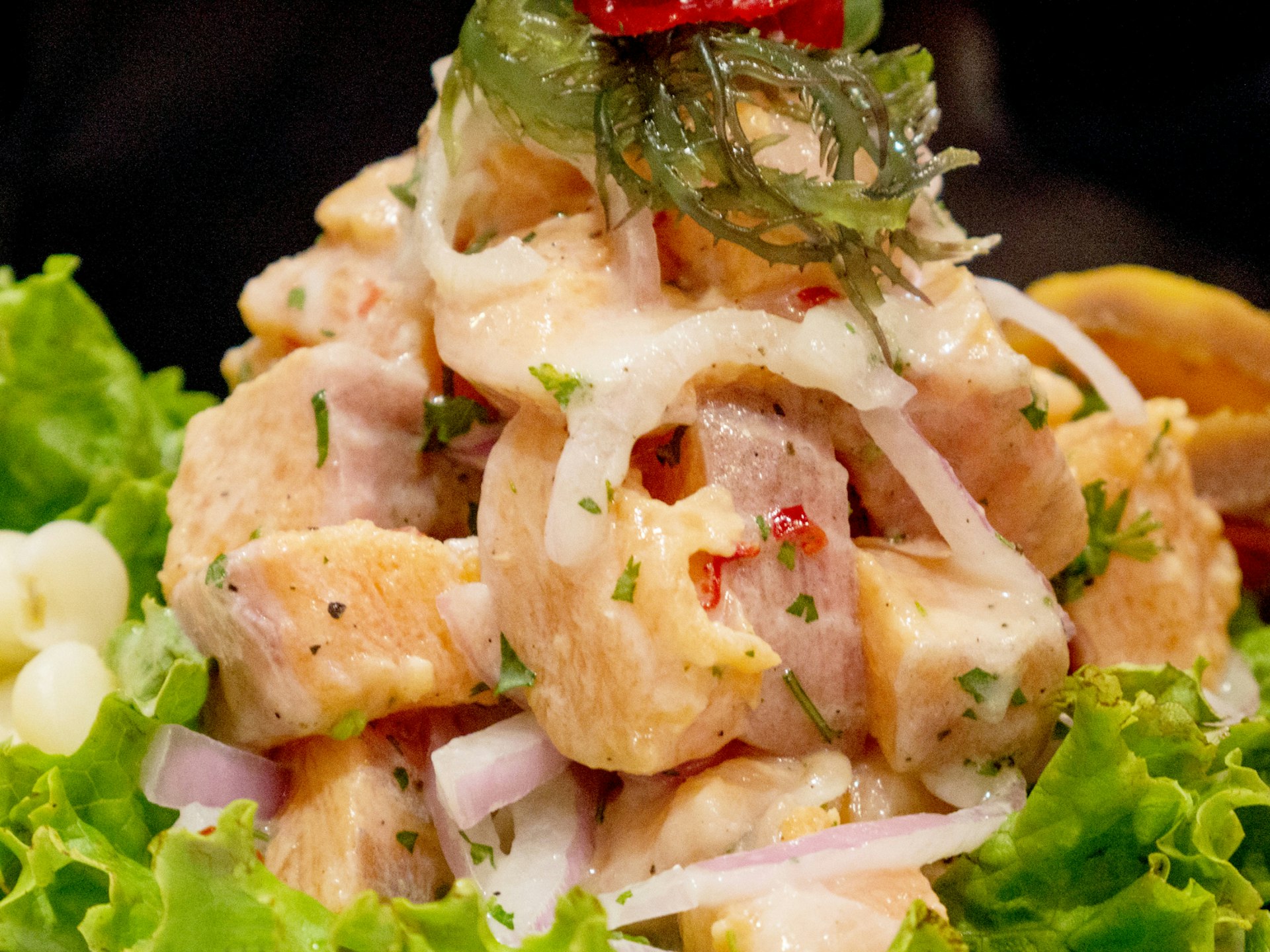 A up-close perspective of a plate of ceviche