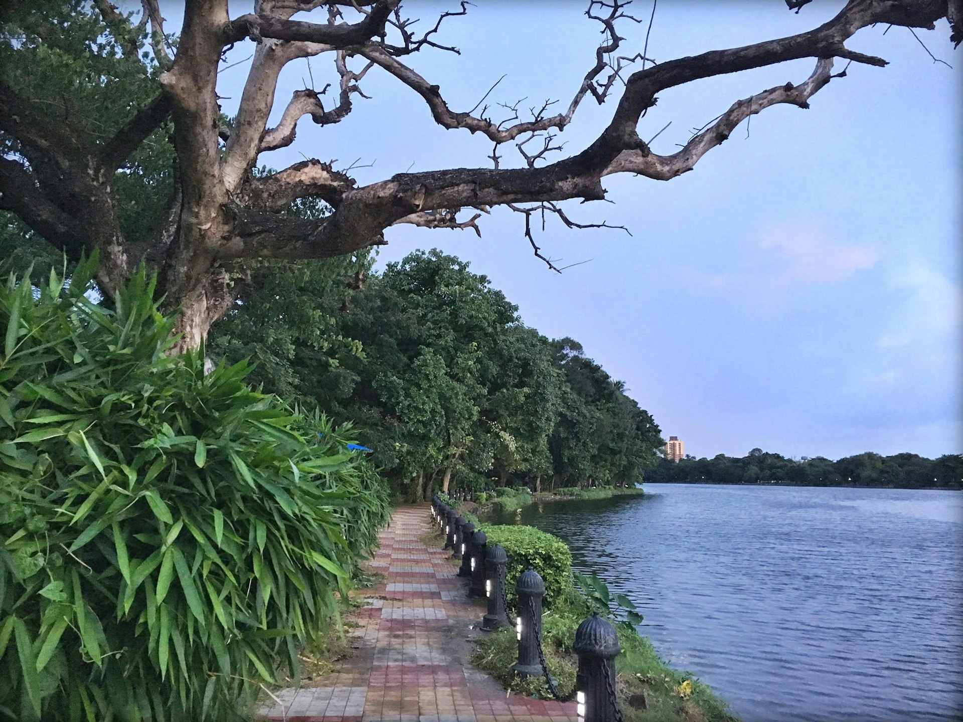 Rabindra Sarovar offers a welcome splash of greenery in Kolkata's urban chaos © Anirban Mahapatra / Lonely Planet