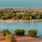 Features - al-qudra-lake-dubai-70a9f3e180e8
