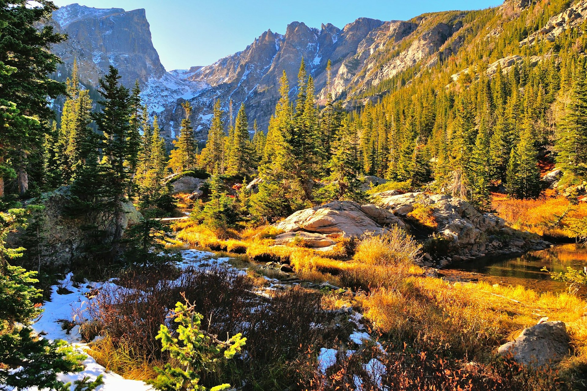 A colourful forest in the Rocky Mountains National Park in autumn with snow and mountains in the background