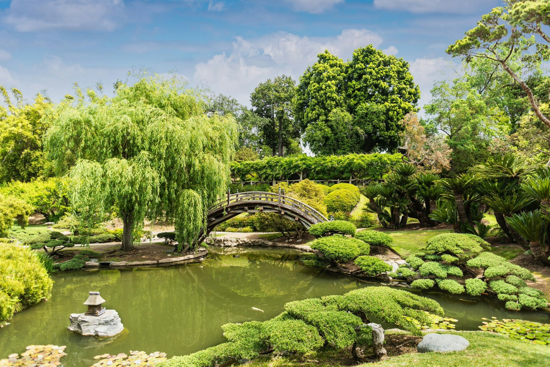 A semicircular bridge is reflected in a pool of green water, surrounded by weeping willows and bright green bushes.