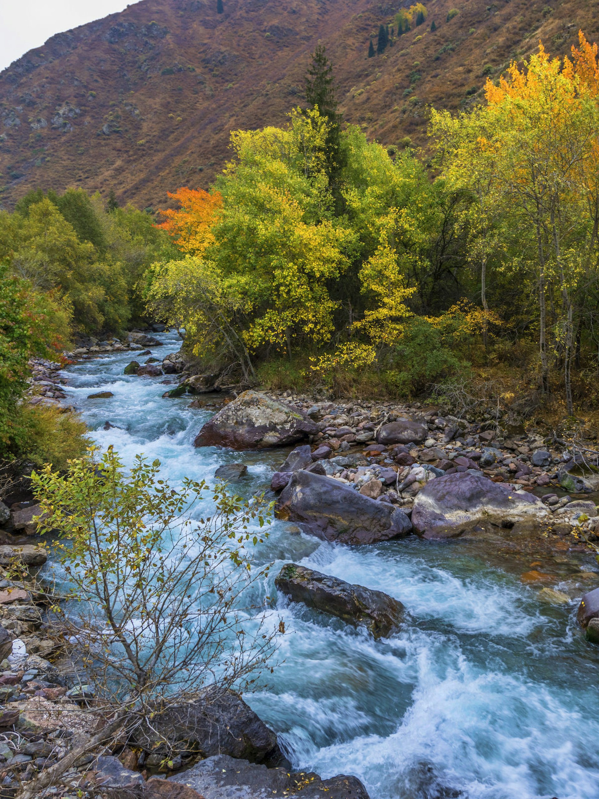 A shallow, white-water river flows through a desert valley with trees in autumn colour © Yuri Turkov / Shutterstock