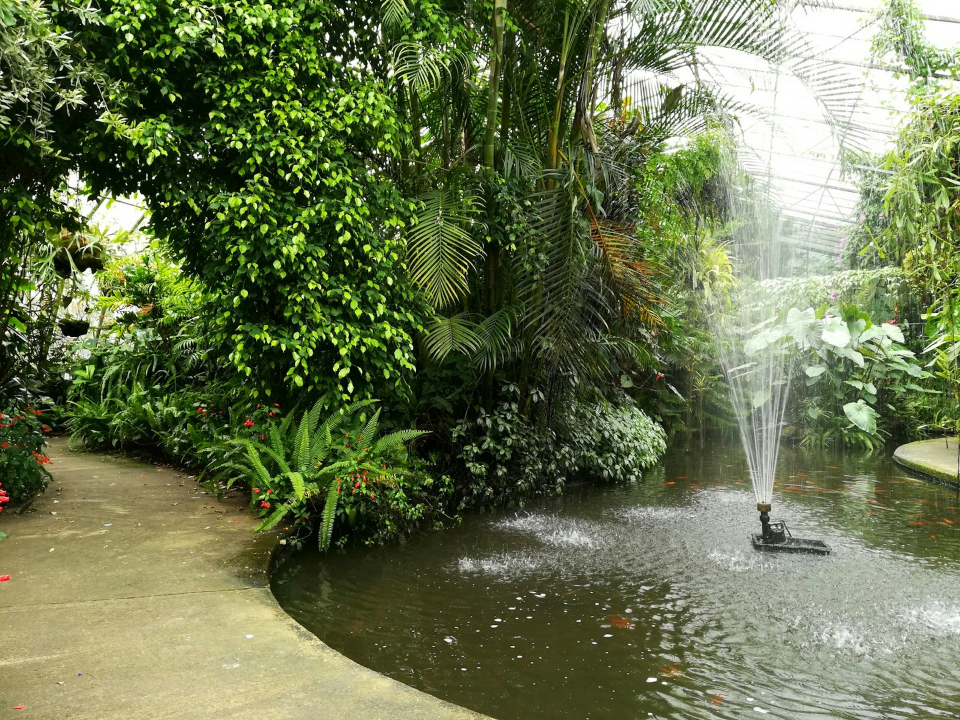 Locals and visitors can all enjoy Roath Park