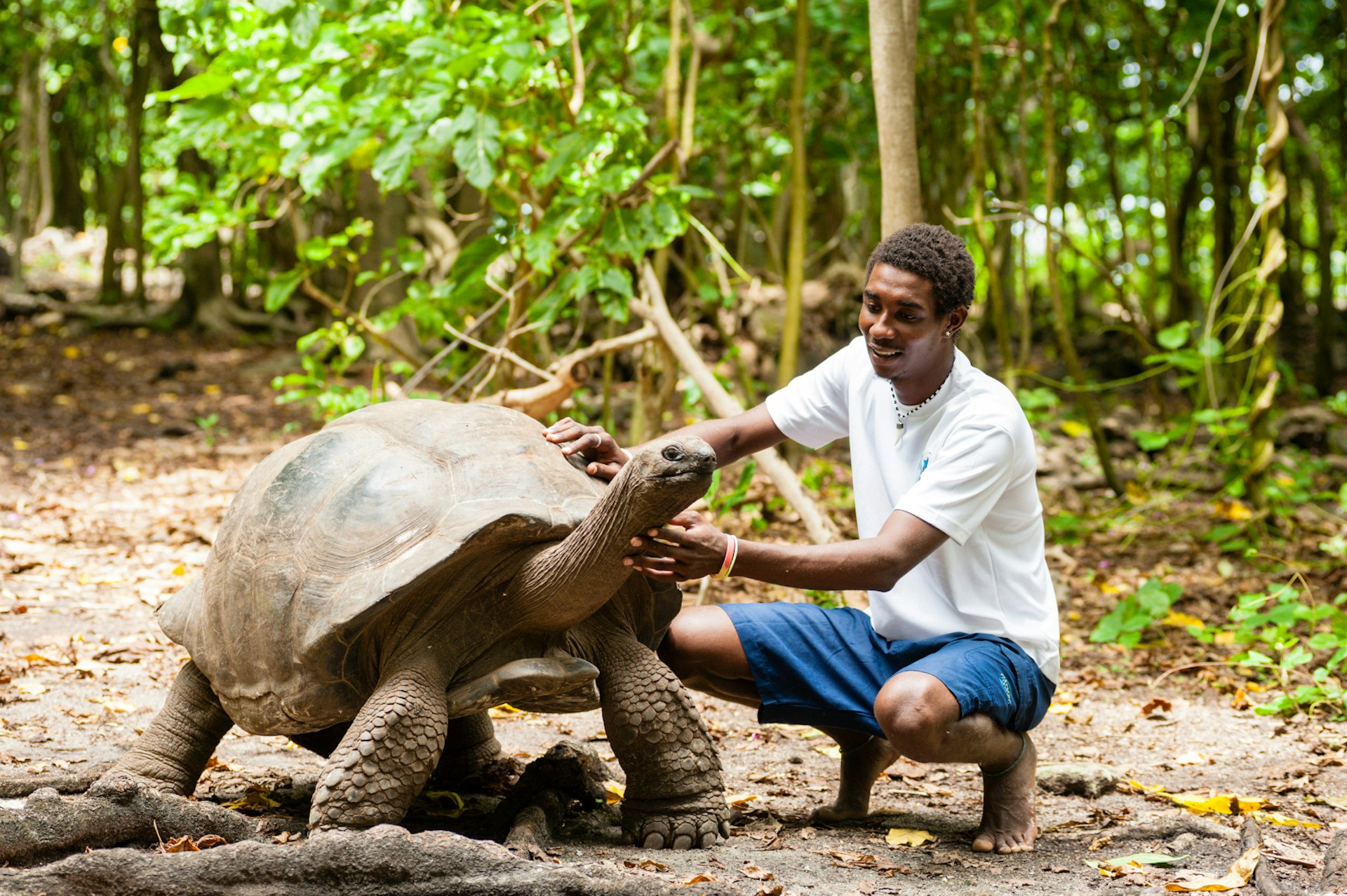 George, one of the oldest giant tortoises, stands and lifts his head as a local guide crouches beside him in the forest and strokes his long neck © Justin Foulkes/Lonely Planet 