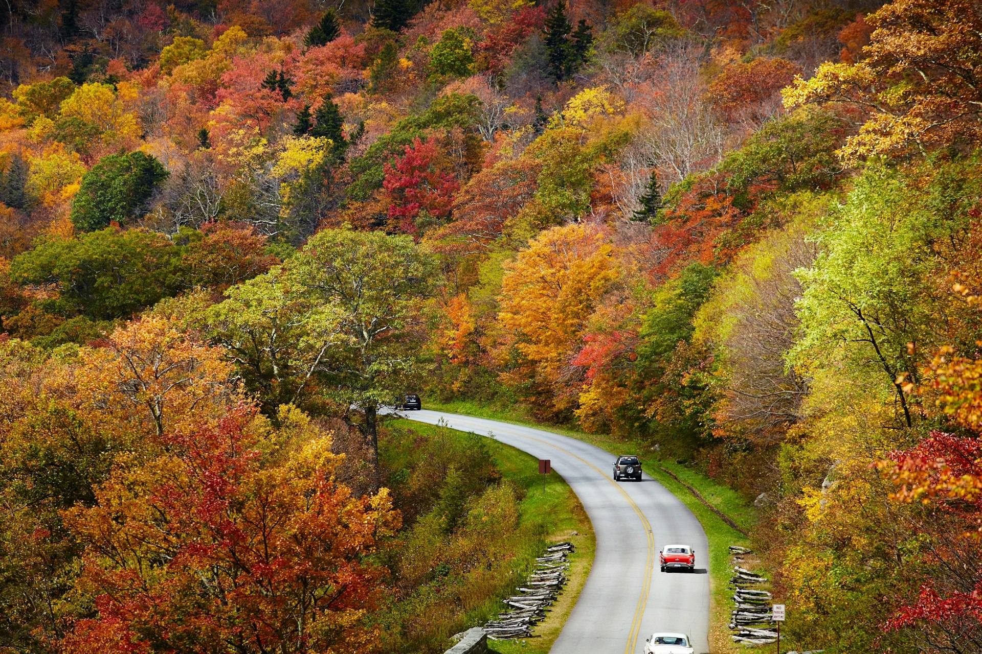 Cars round the bend amid beautiful fall foliage in North Carolina 