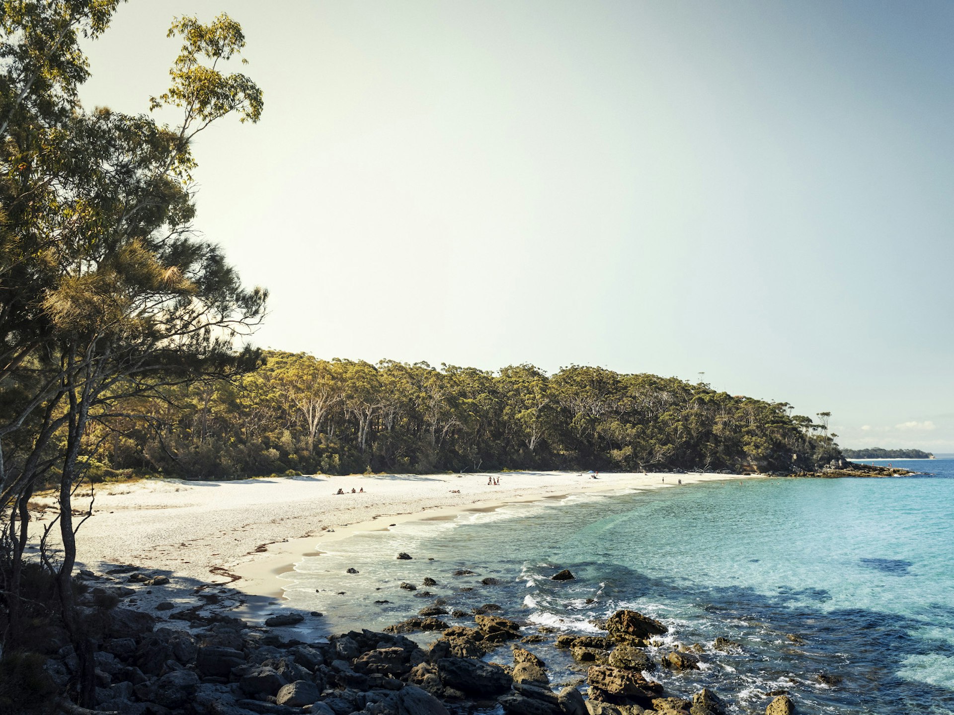 Greenfield Beach in Jervis National Park backed by a forest of gum trees