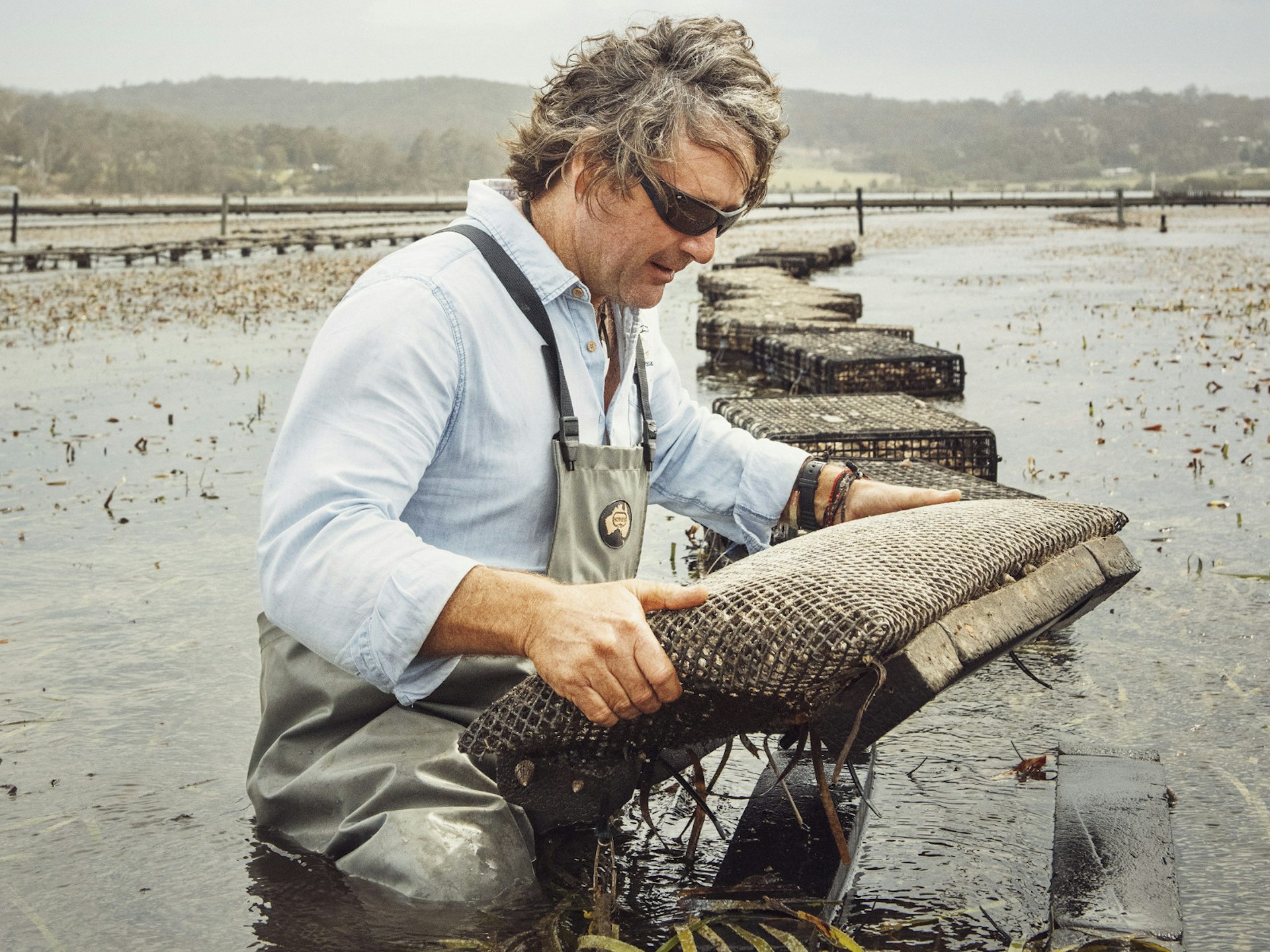 Oyster farmer Brett Weingarth inspects his trays