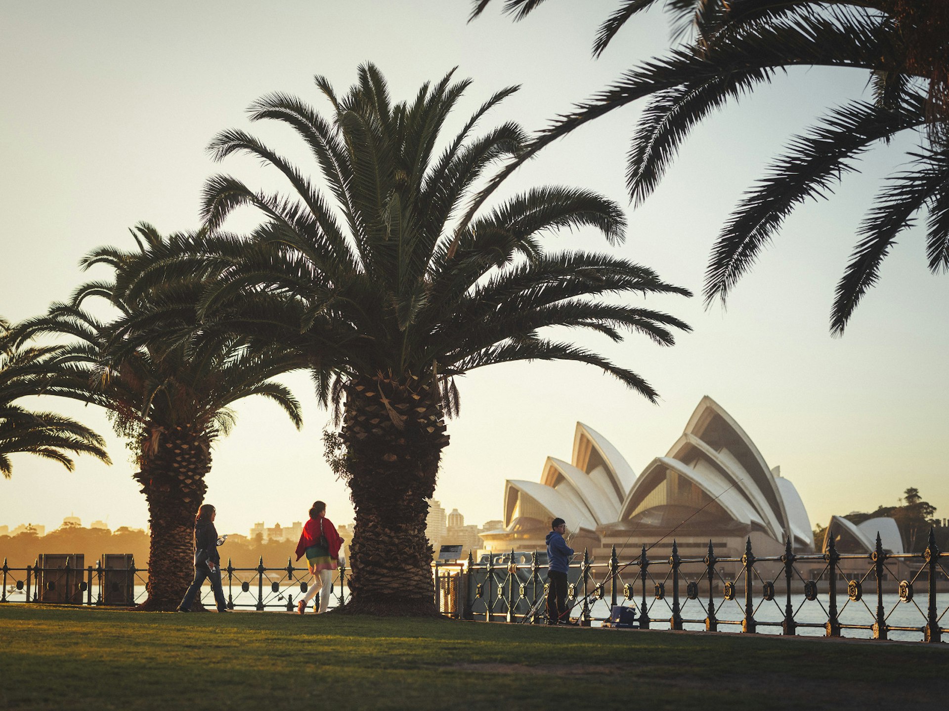 Sydney Opera House, glows in the early morning light