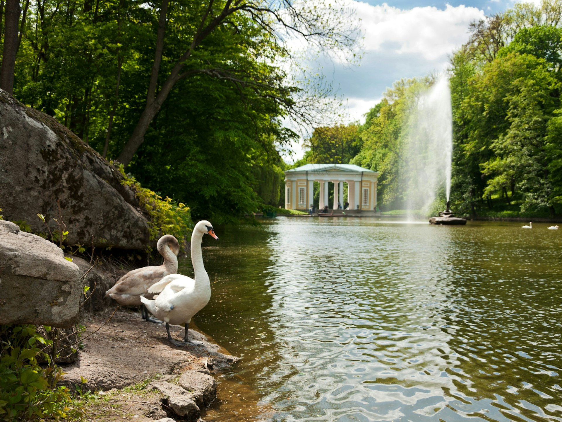 Swans and fountains are part of the idyll in Sofiyivka Park in Uman © Nataliia Dvukhimenna / Shutterstock
