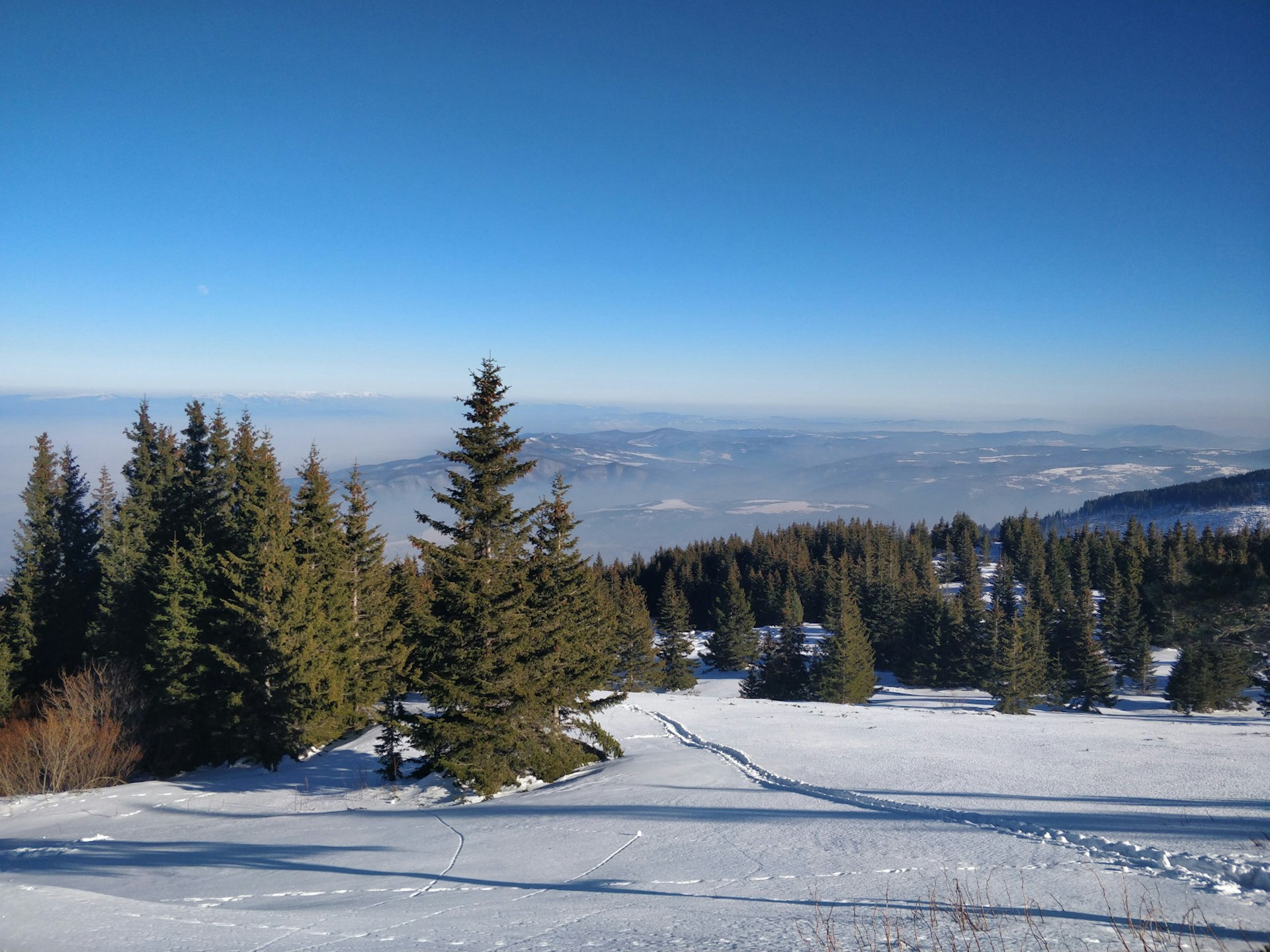 A view down a mountainside, with snow on the ground and conifers all around