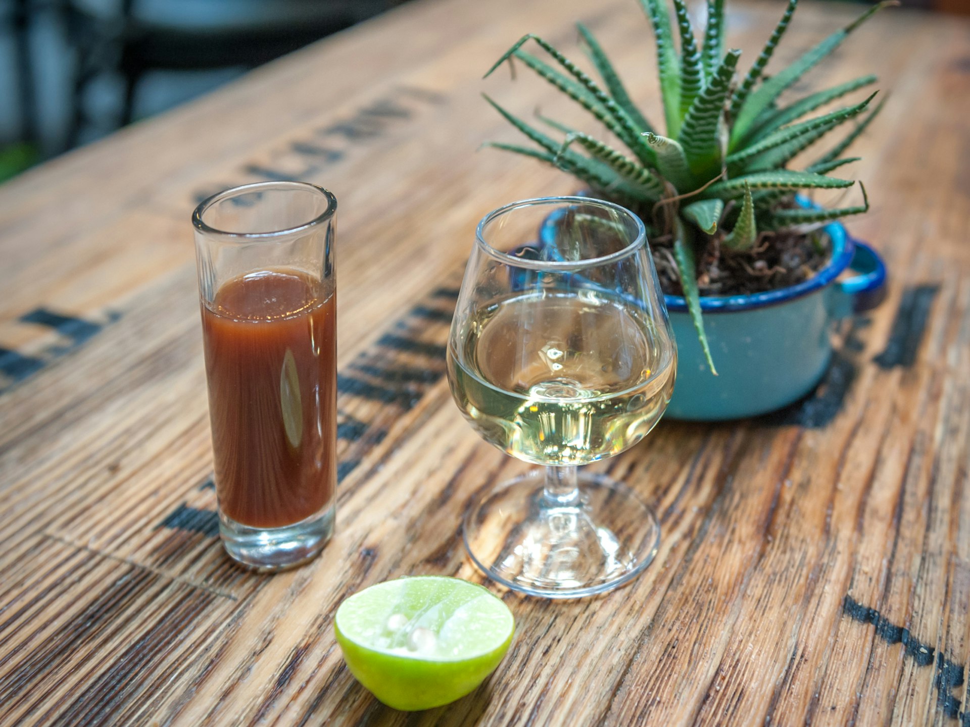 A shot of tequila with an agave plant in the background