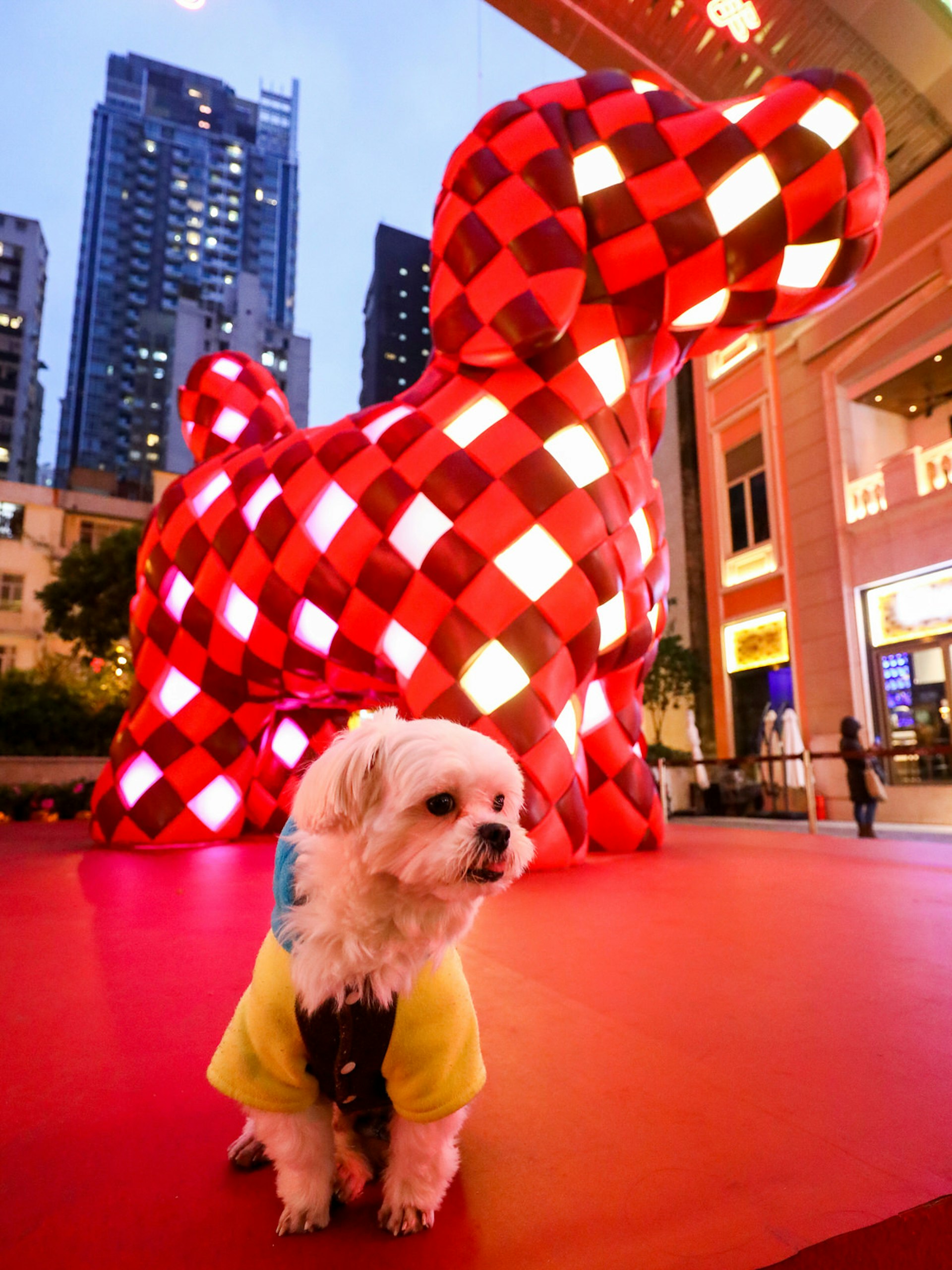 A small white dog stands in front of a giant red and white sculpture of a dog made using the traditional Chinese art of knotting © Lee Tung Avenue