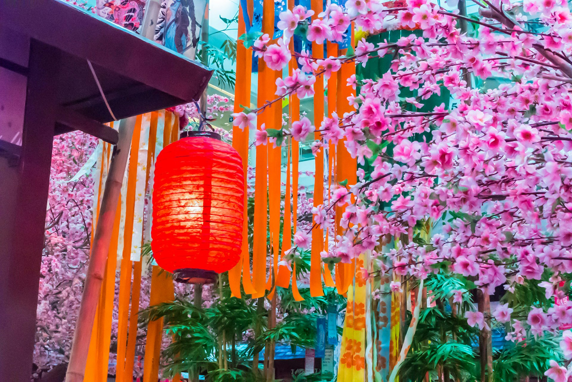 Trees in full pink blossom hang low near a building with a large red lantern hanging outside. Orange and yellow paper streamers hang behind.