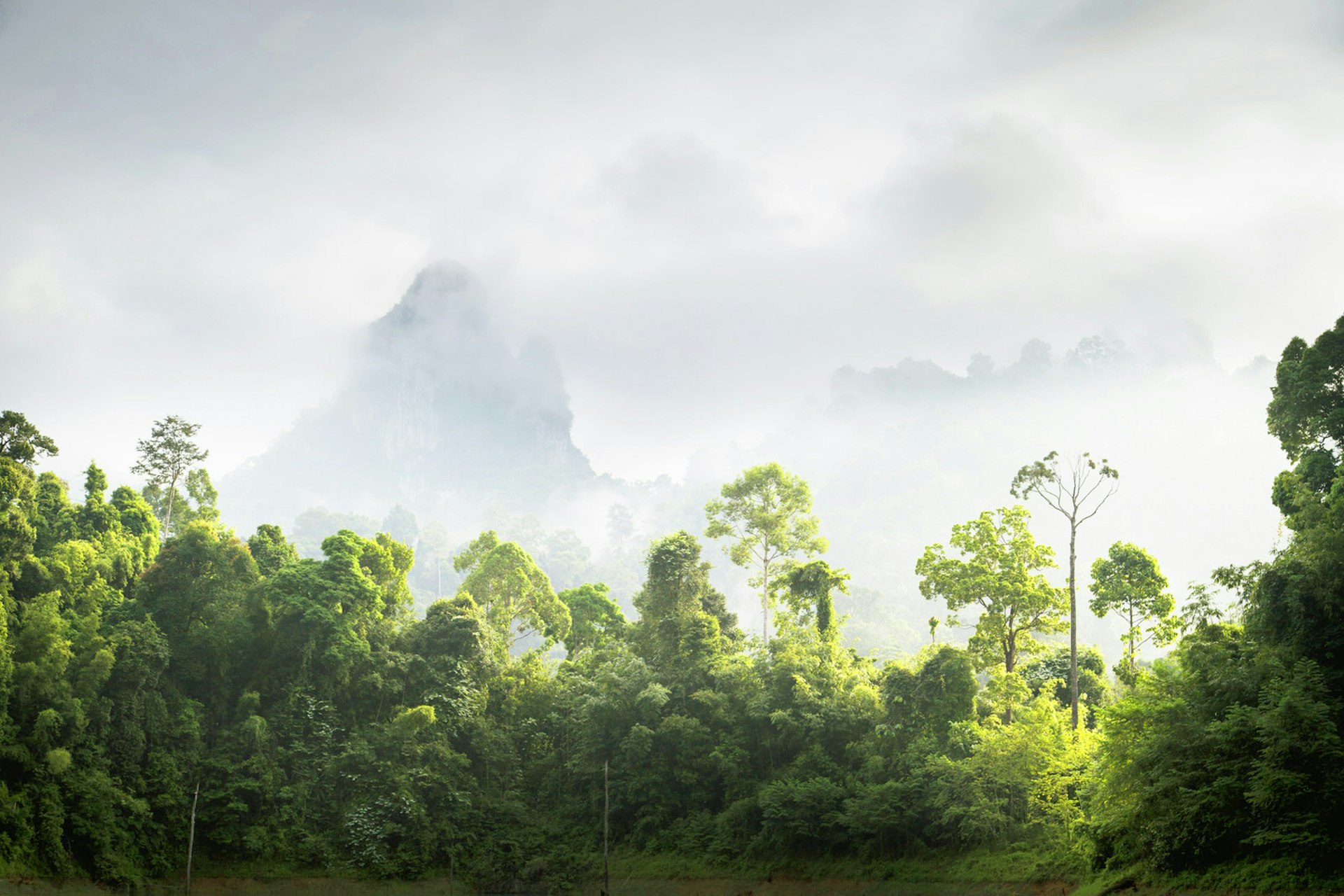 Ancient rainforest and karst mountains of Khao Sok National Park © Cultura Exclusive / Philip Lee Harvey / Getty Images