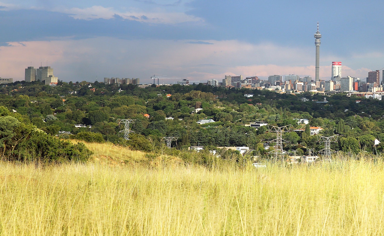 A distant downtown Johannesburg skyline is fronted by forested hills dotted with homes and the grass-covered Melville Koppies.© Heather Mason / Lonely Planet