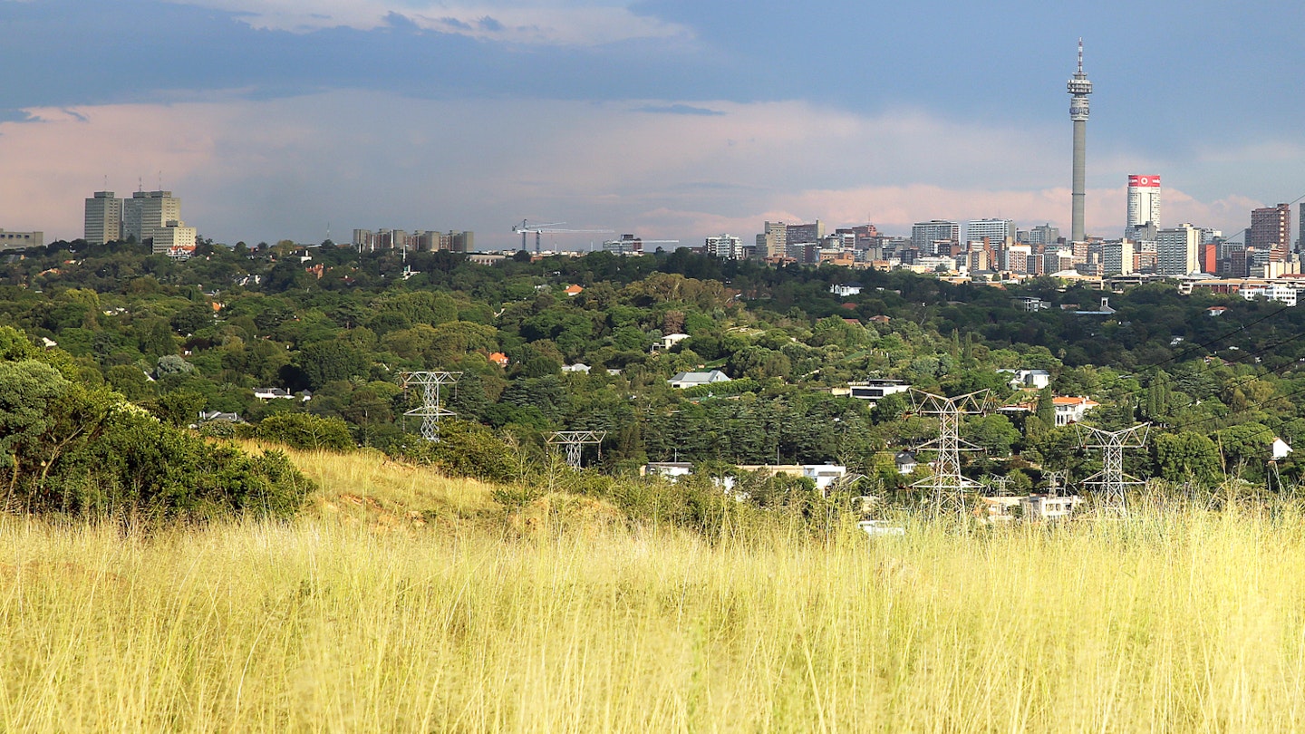 A distant downtown Johannesburg skyline is fronted by forested hills dotted with homes and the grass-covered Melville Koppies.© Heather Mason / Lonely Planet