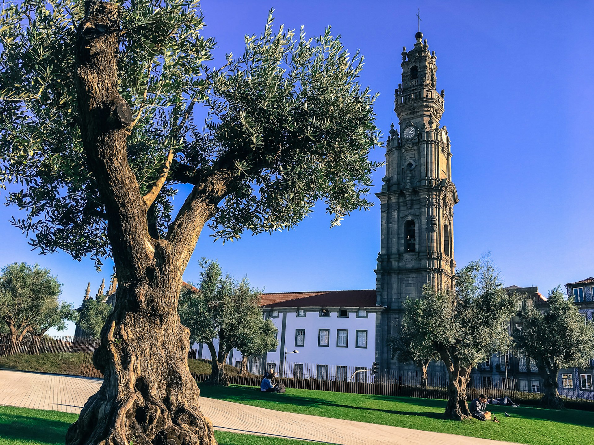 Torre dos Clérigos is Emily's favourite building in Porto © Emily McAuliffe / Lonely Planet