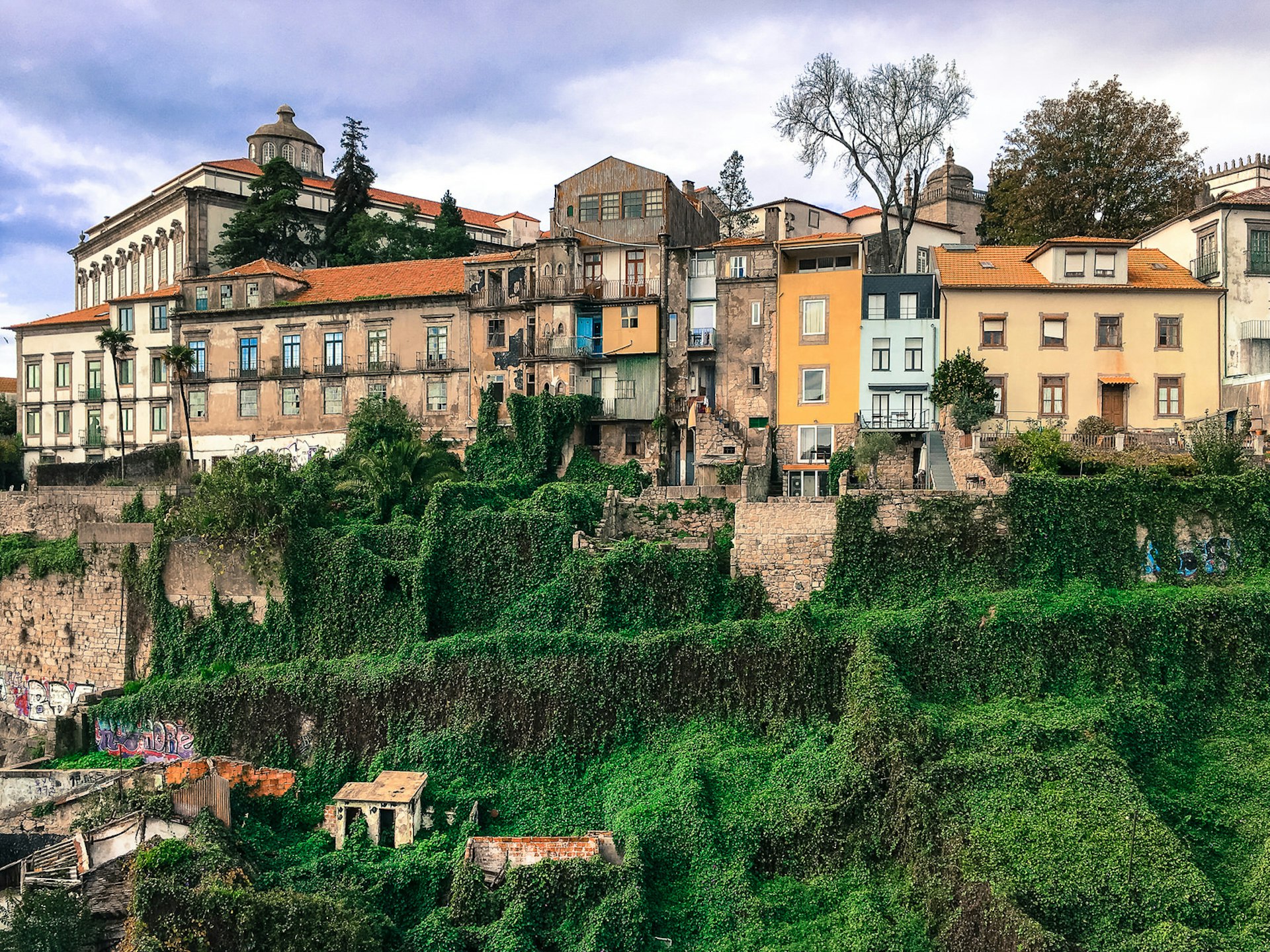 Emily loves Porto's foliage-clad buildings © Emily McAuliffe / Lonely Planet