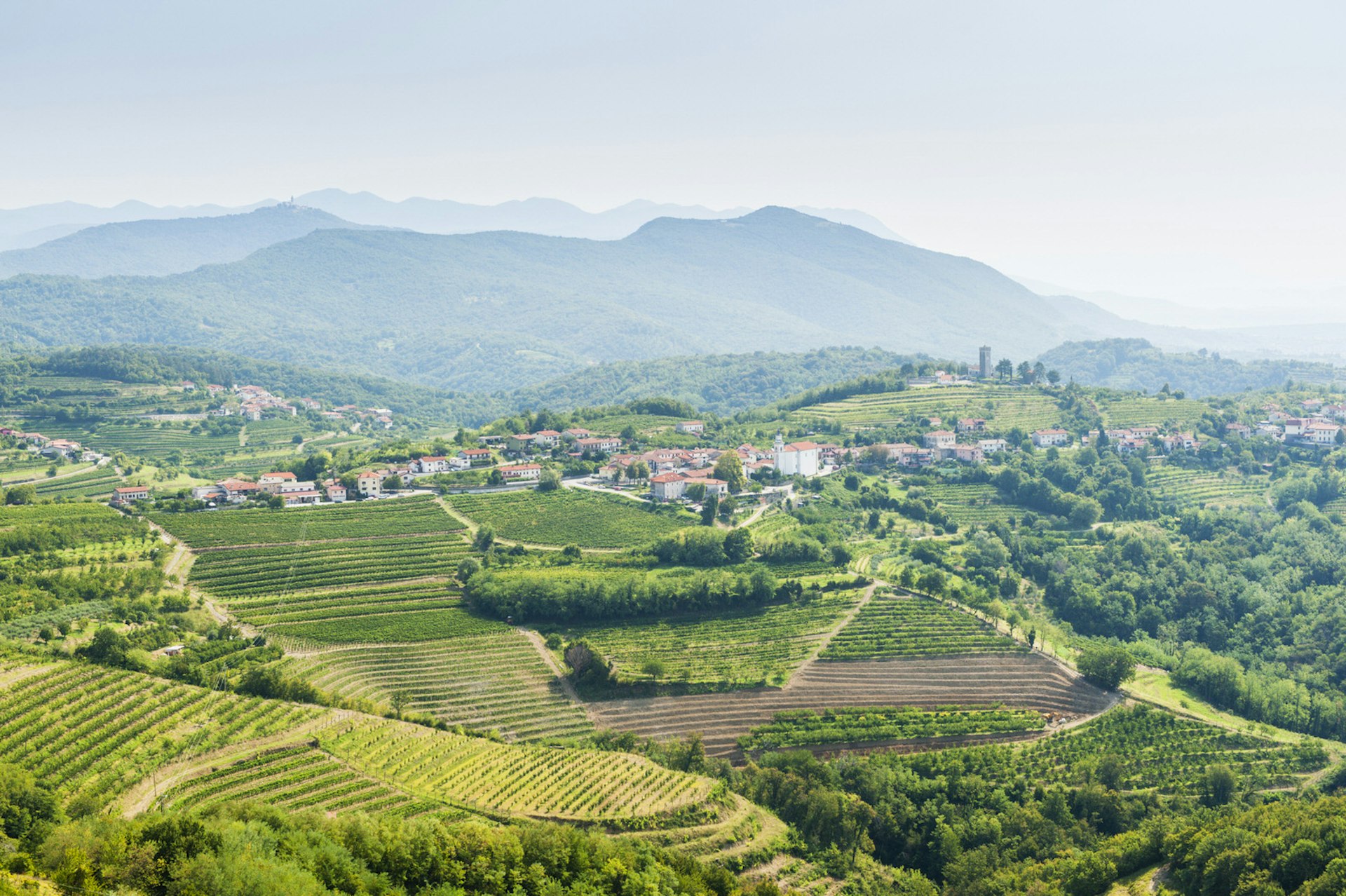 Vineyards, terracotta roofs and hills in Goriška Brda © Justin Foulkes / Lonely Planet