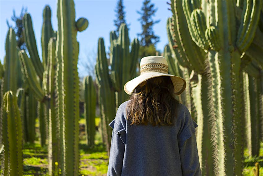 Woman walking through Cactus Thiemann, a cactus farm outside Marrakesh, Morocco. She is wearing a floppy straw hat and a navy jumper, with her back to the camera walking through very tall cacti.