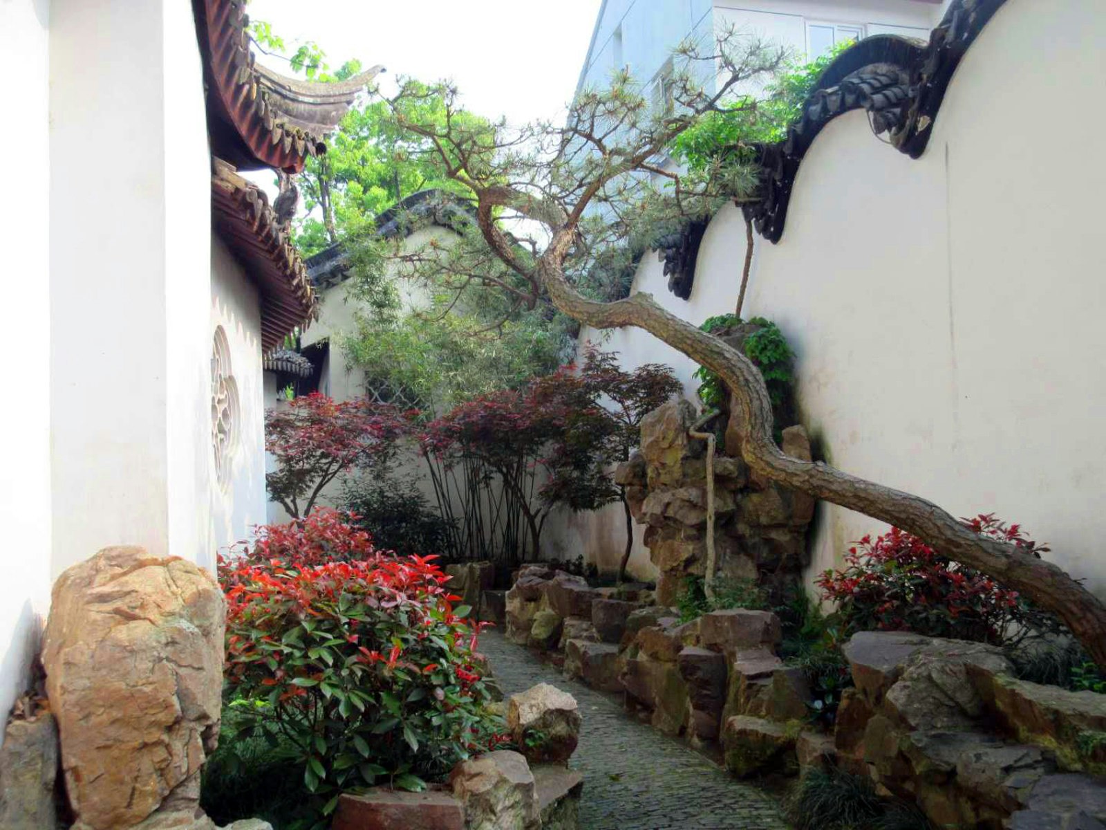 Small shrubs with red flowers and a gnarled tree decorate a narrow passageway through the garden. Gardens were usually walled compounds that served as private residences for intellectuals and retired officials © Tess Humphrys / Lonely Planet