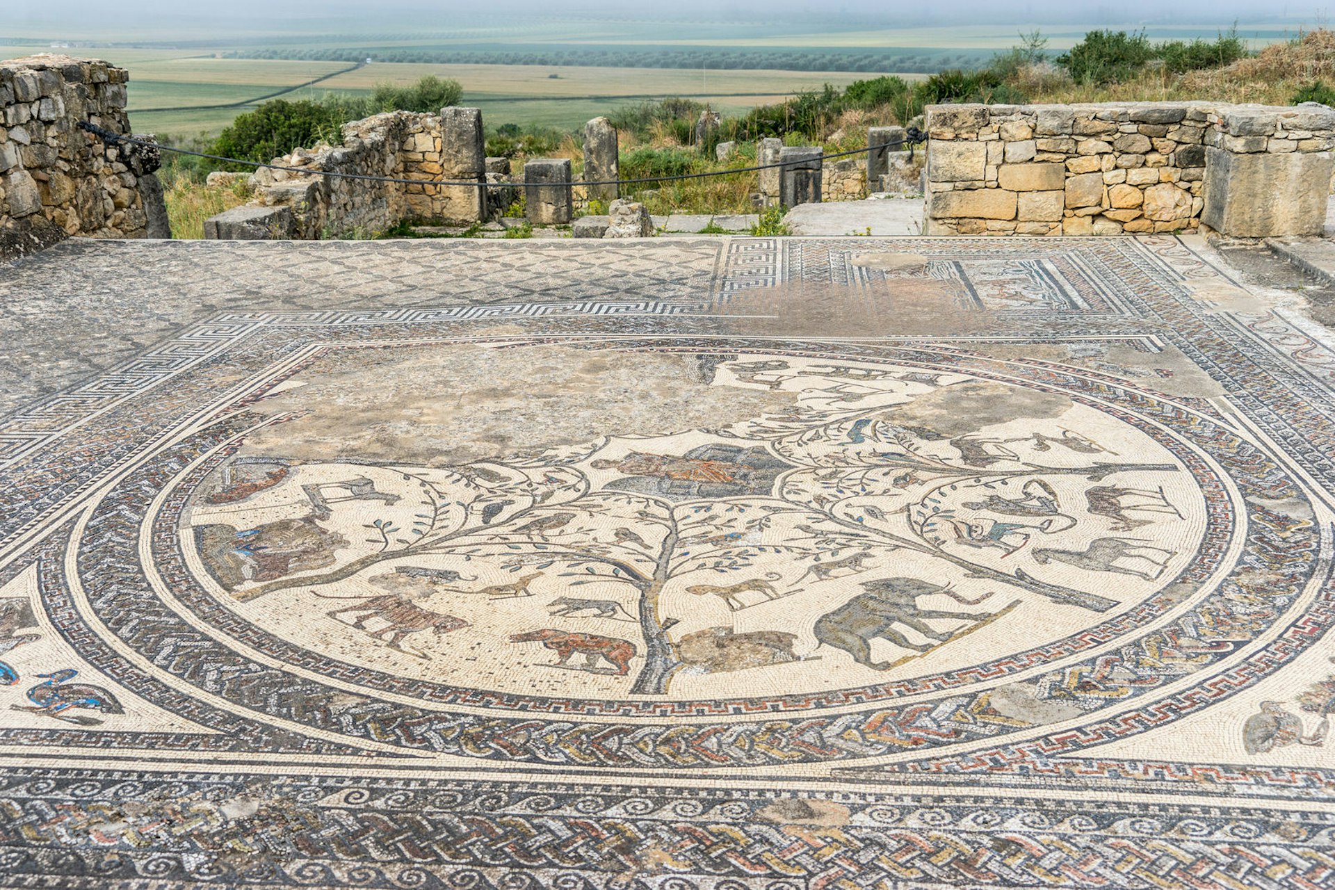 Mosaic floor, Volubilis ruins, the excavations of the roman city in the archaeological site Volubilis, North Morocco. Image by oBebee / Shutterstock