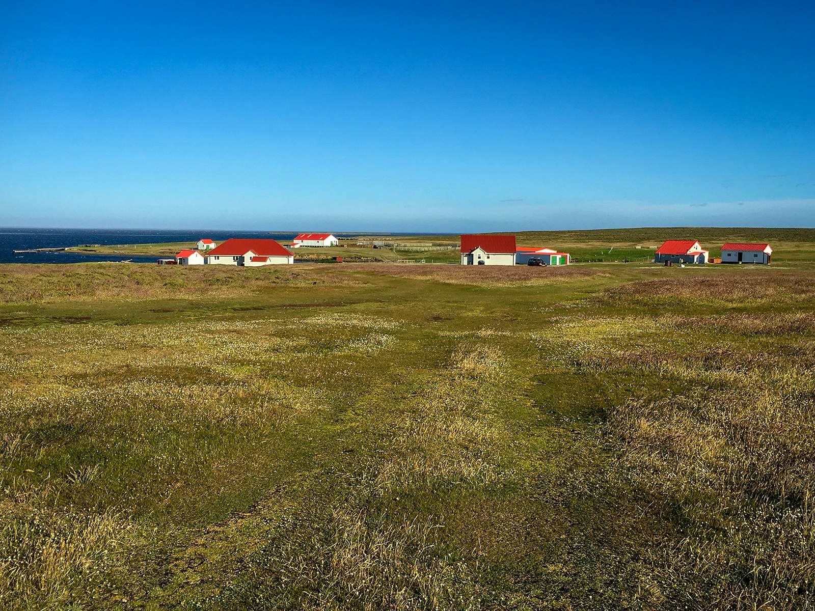 An Essential Guide To The Falkland Islands – Lonely Planet - Lonely Planet