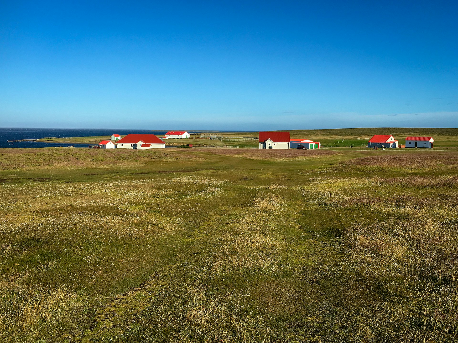 White houses with red roofs in a field on Bleaker Island, Falkland Islands