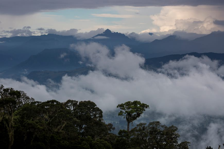 Top Papua New Guinea experiences - Lonely Planet