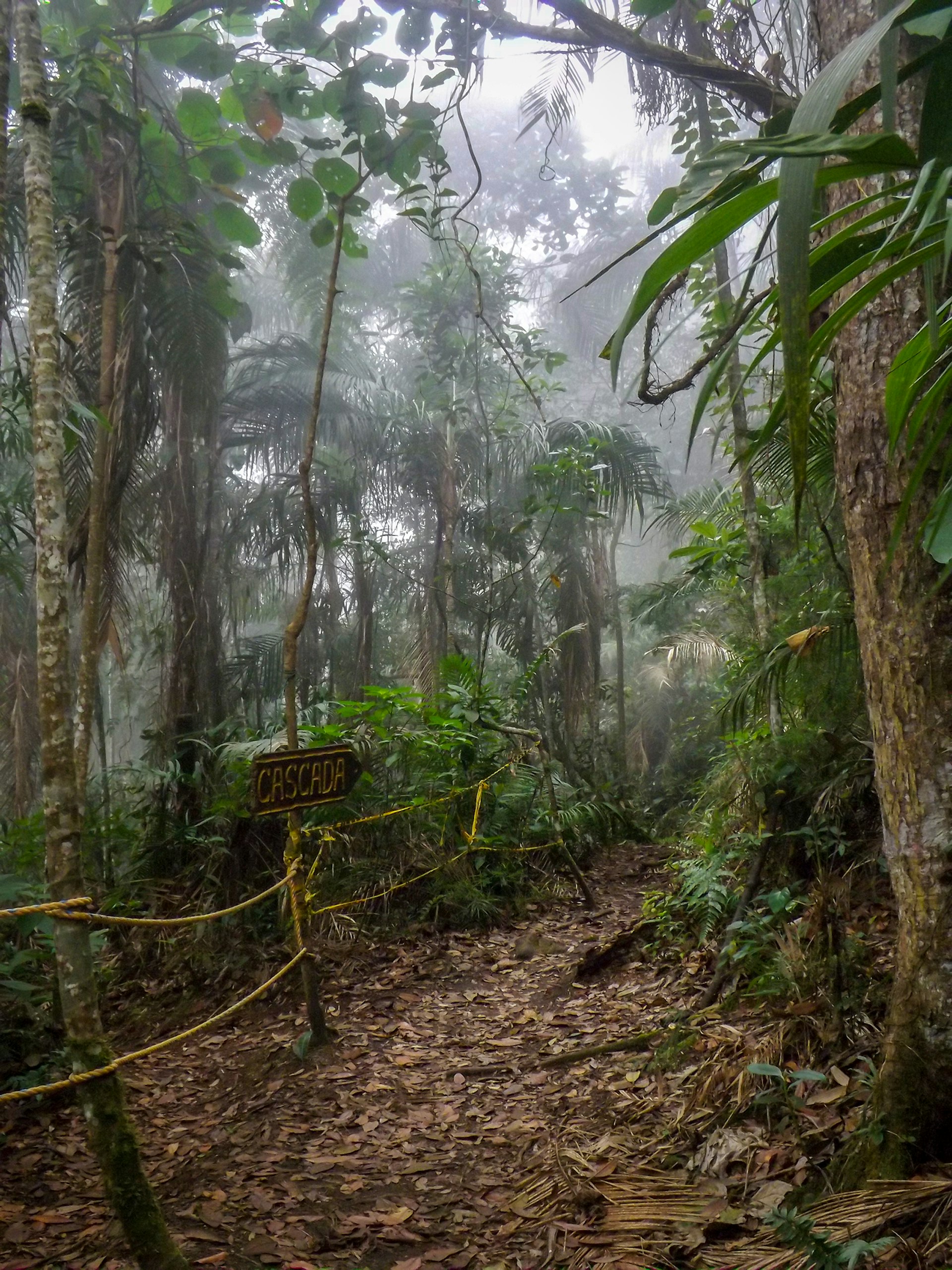 A misty trail with a sign to "Cascada" waterfall