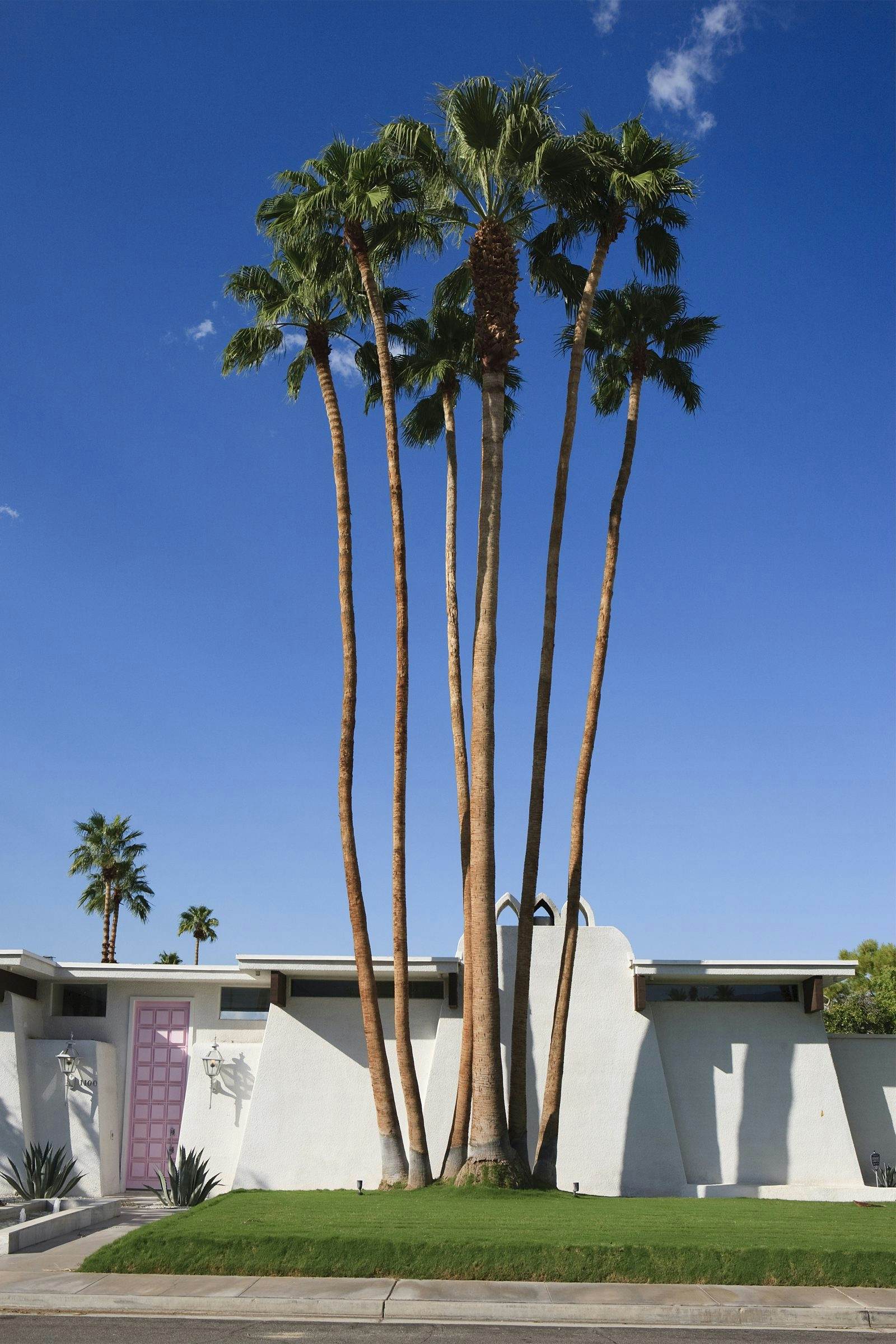 The modern womans getaway guide to Palm Springs picture