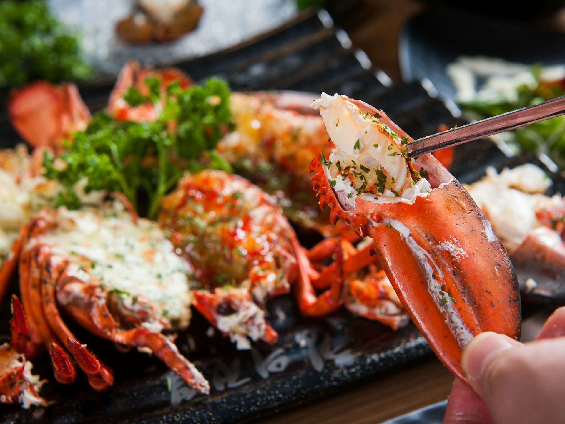 A man holding a cooked lobster claw with a lobster dinner in the background