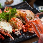 Features - Lobster_Nova_Scotia_dinner-6221c7a06e35