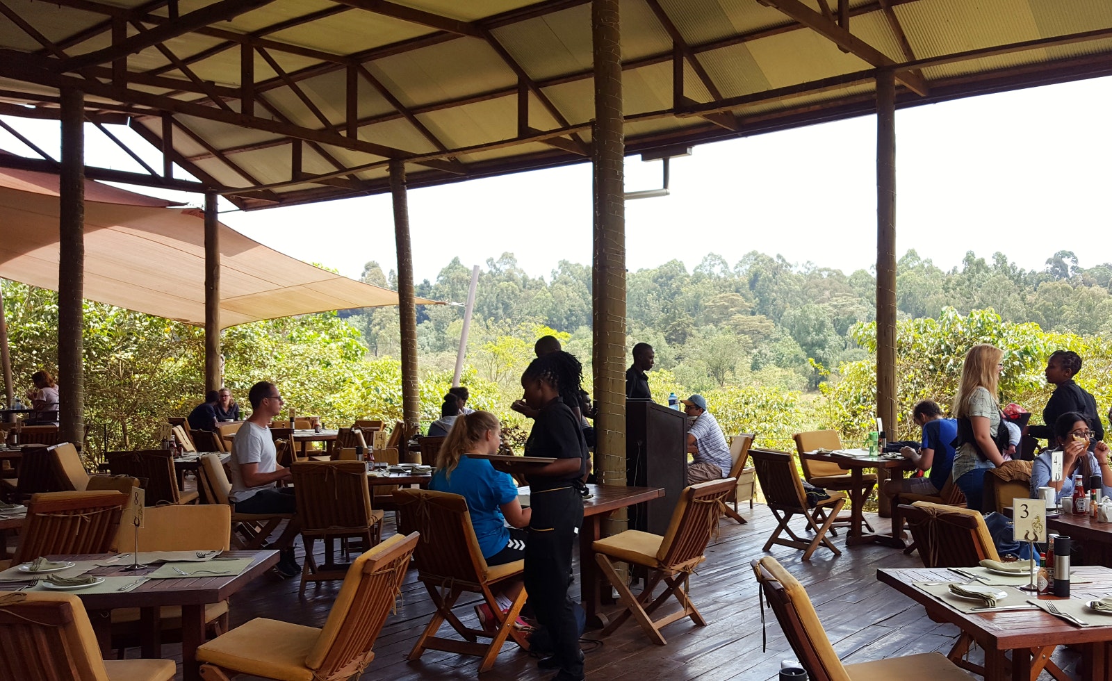 A sprawling wooden deck extends toward the forest - it's dotted with wooden tables and chairs, with guests eating or walking to and fro © Clementine Logan / Lonely Planet