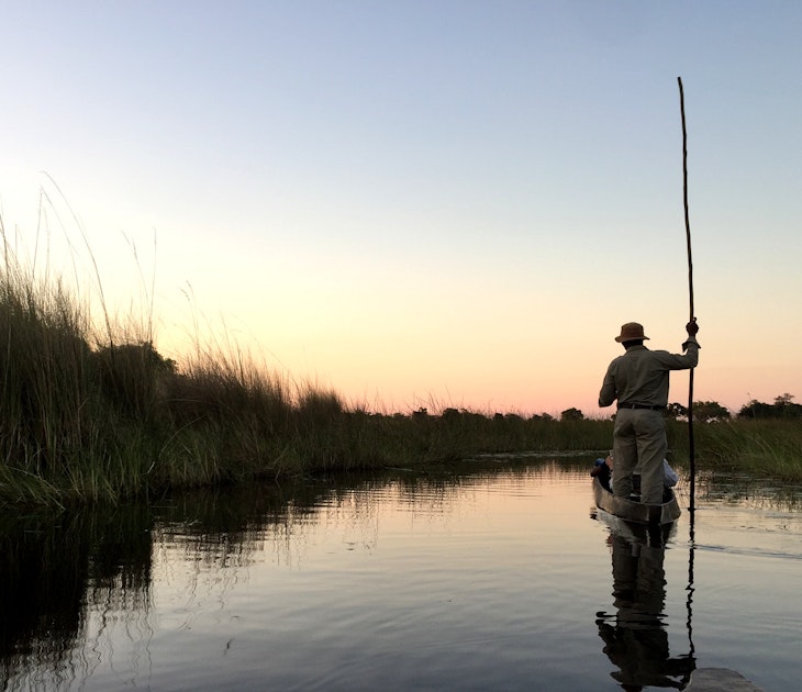 A poler stands at the back of a mokoro (dugout canoe) with his pole raised vertically to the sky. His outline is crisp against a pinkish blue sky at sunset. To his left are a bed of reeds at the edge of the channel. Everything is reflected in the still water of the delta © Matt Phillips / Lonely Planet