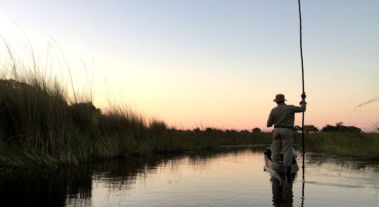 A poler stands at the back of a mokoro (dugout canoe) with his pole raised vertically to the sky. His outline is crisp against a pinkish blue sky at sunset. To his left are a bed of reeds at the edge of the channel. Everything is reflected in the still water of the delta © Matt Phillips / Lonely Planet