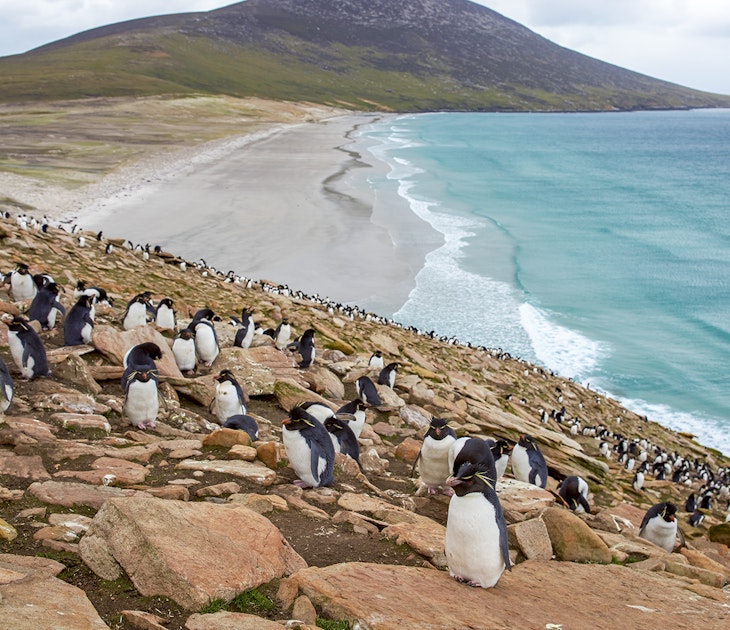 best time to visit the falkland islands