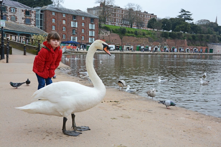 Features - Swanning-around-on-the-quay-33dbaaaf5c12