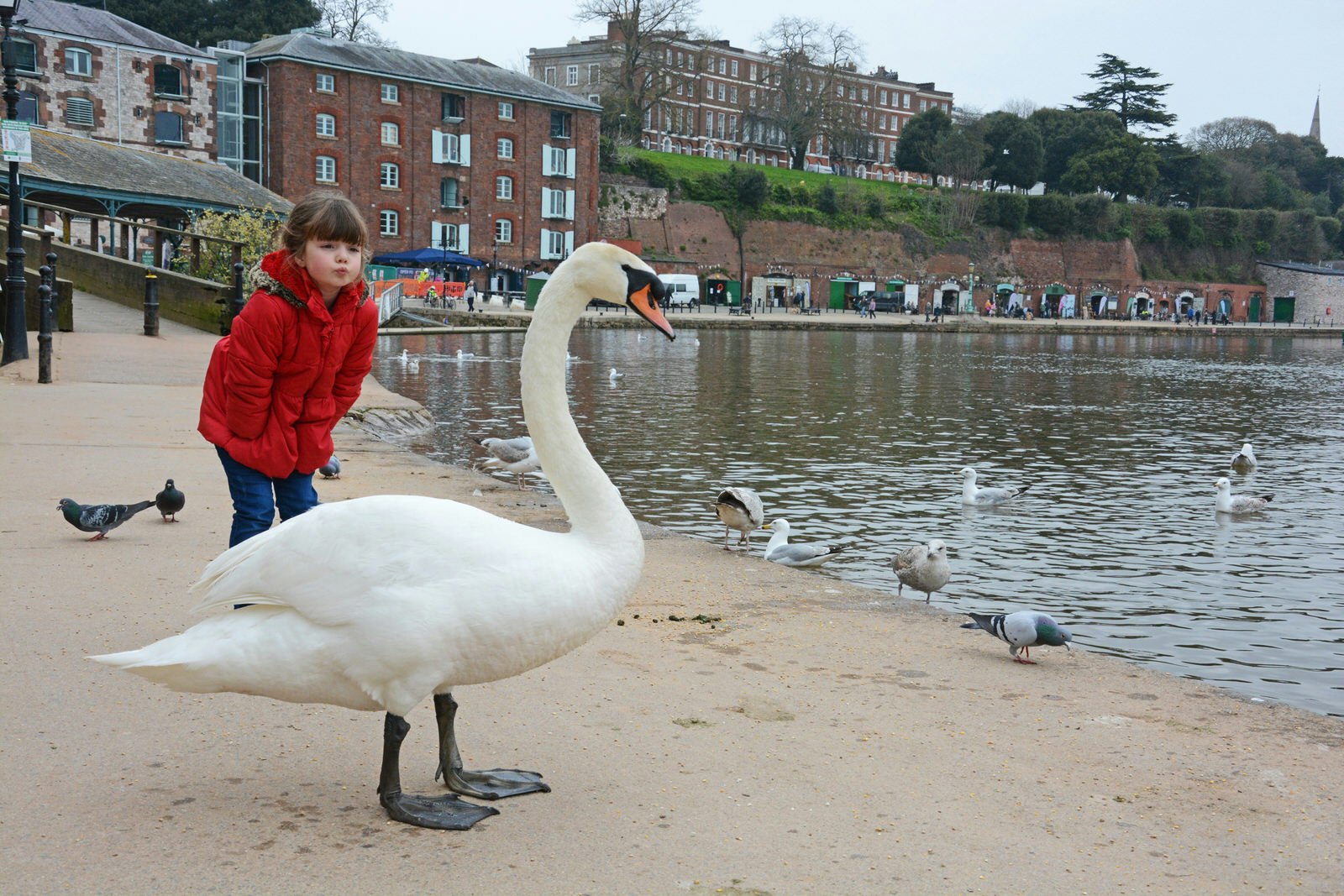 Tour guide Alice poses next to a swan on Exeter quay © Patrick Kinsella / Lonely Planet